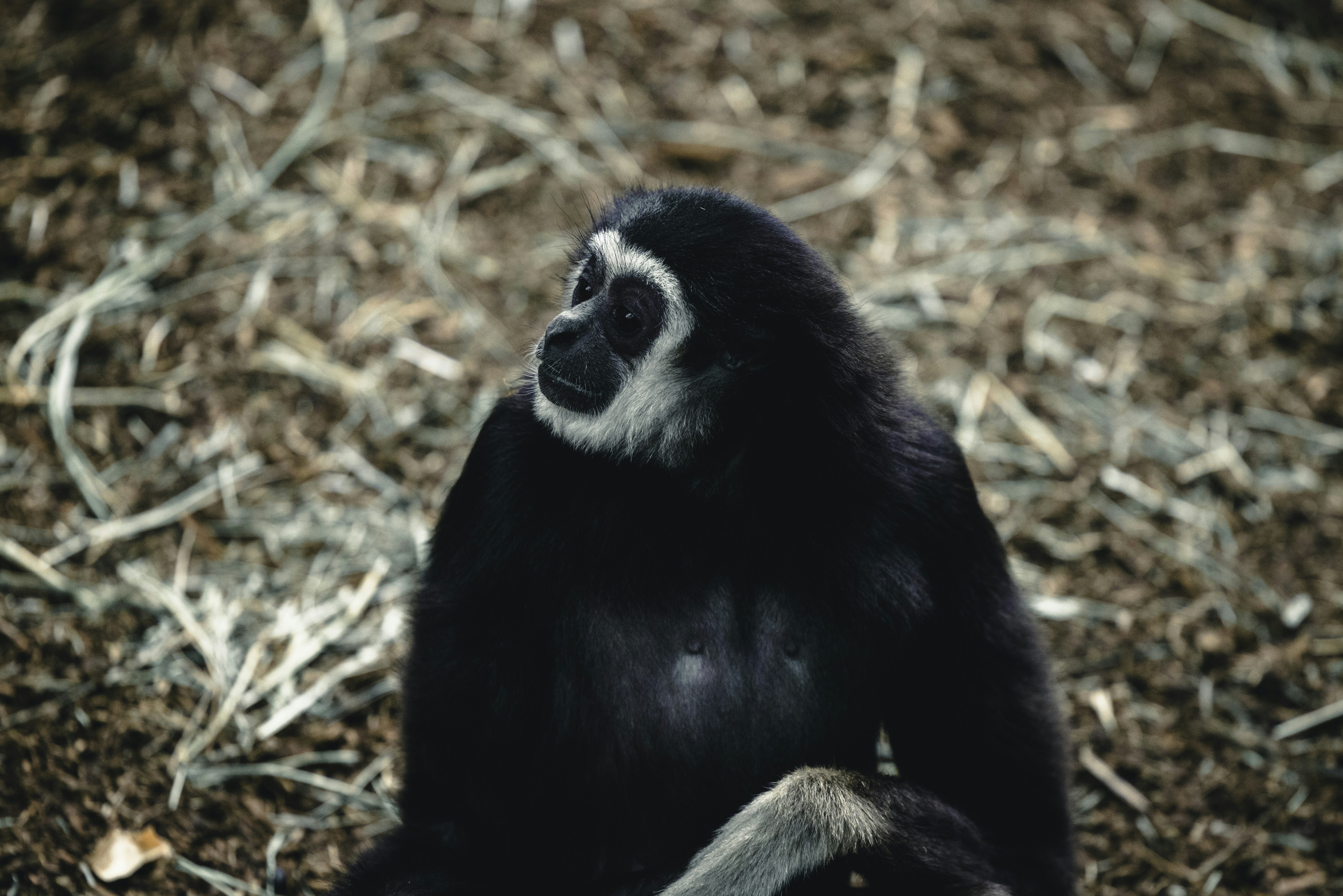 Photo by lureofadventure