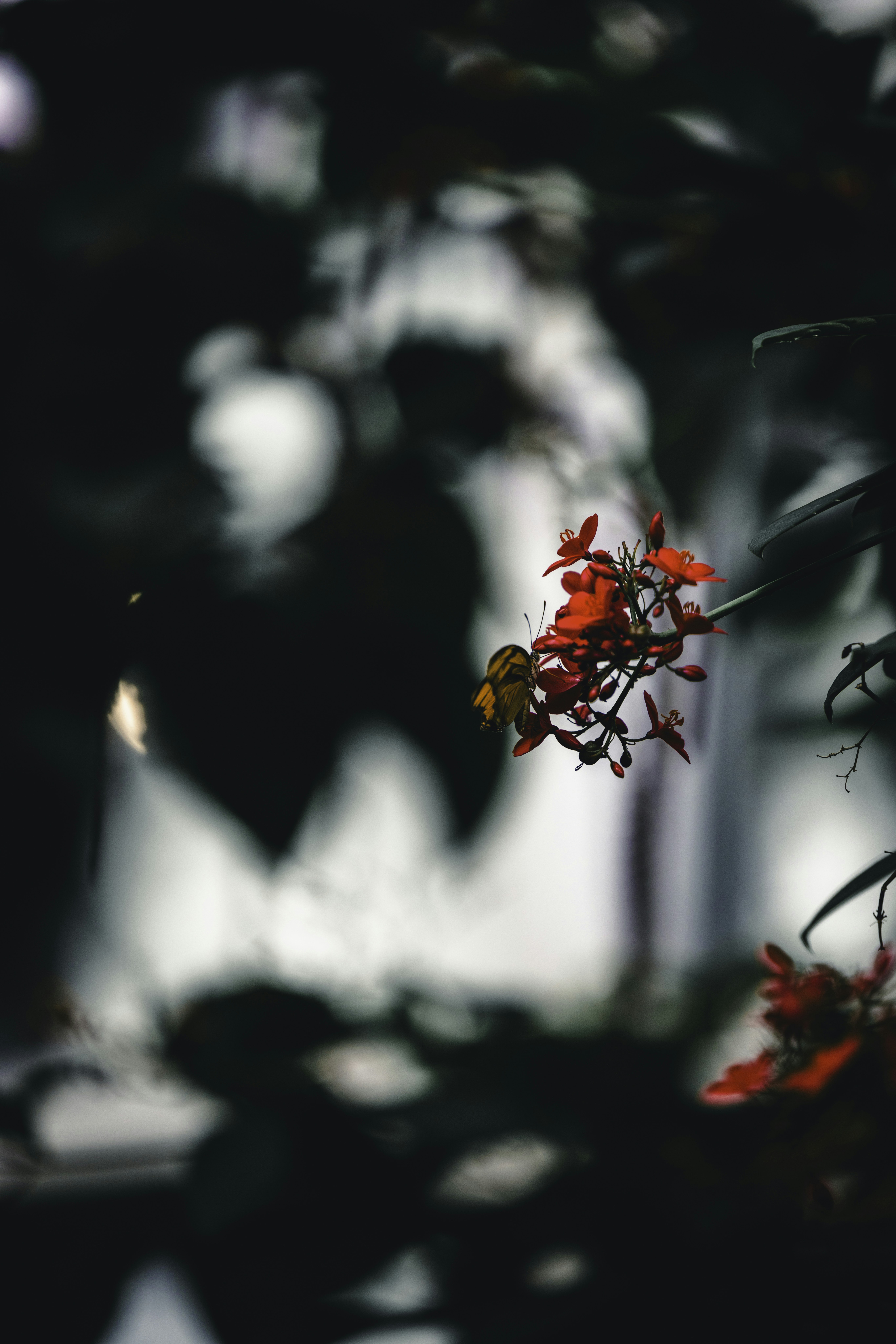 Photo by lureofadventure