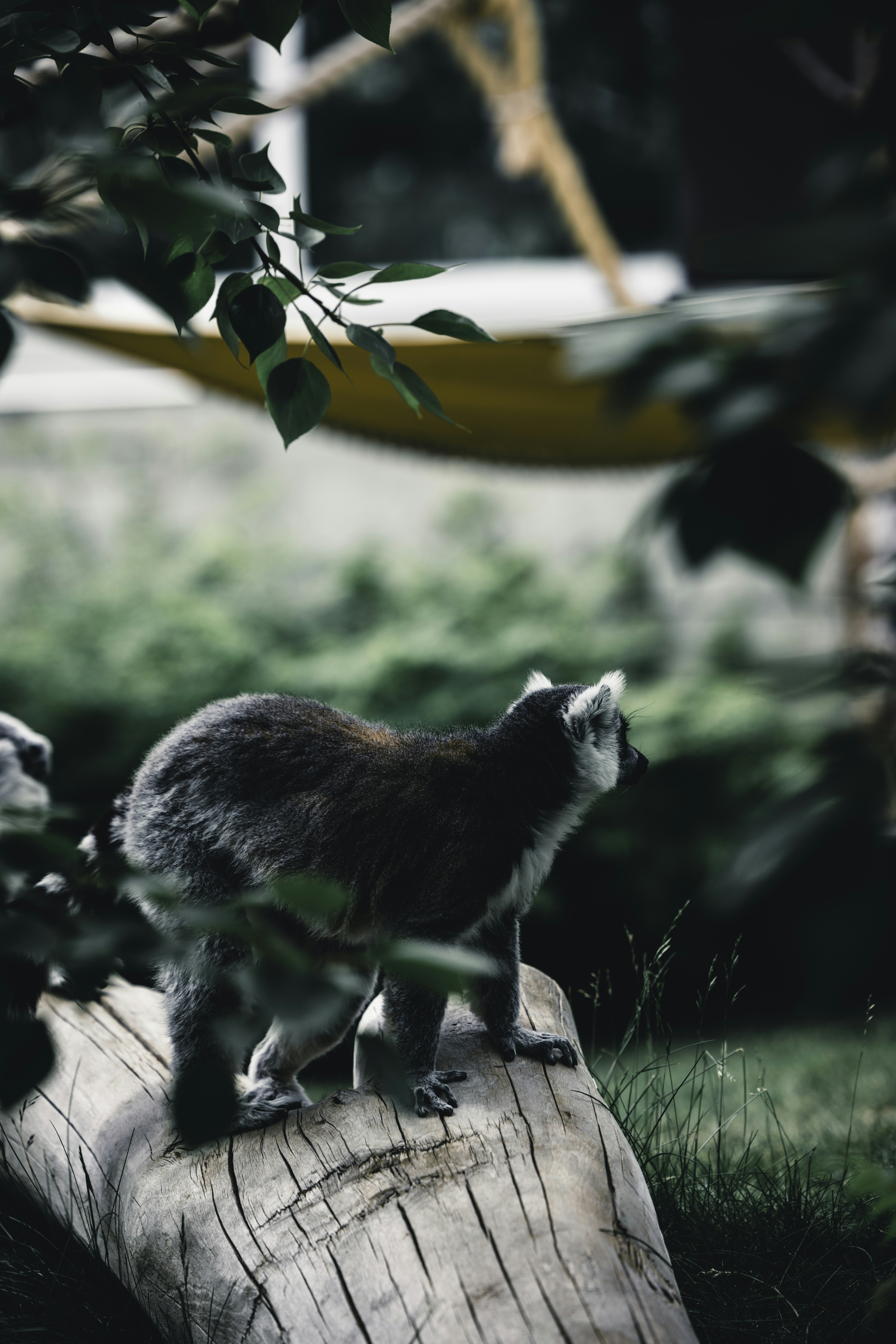 Photo by lureofadventure