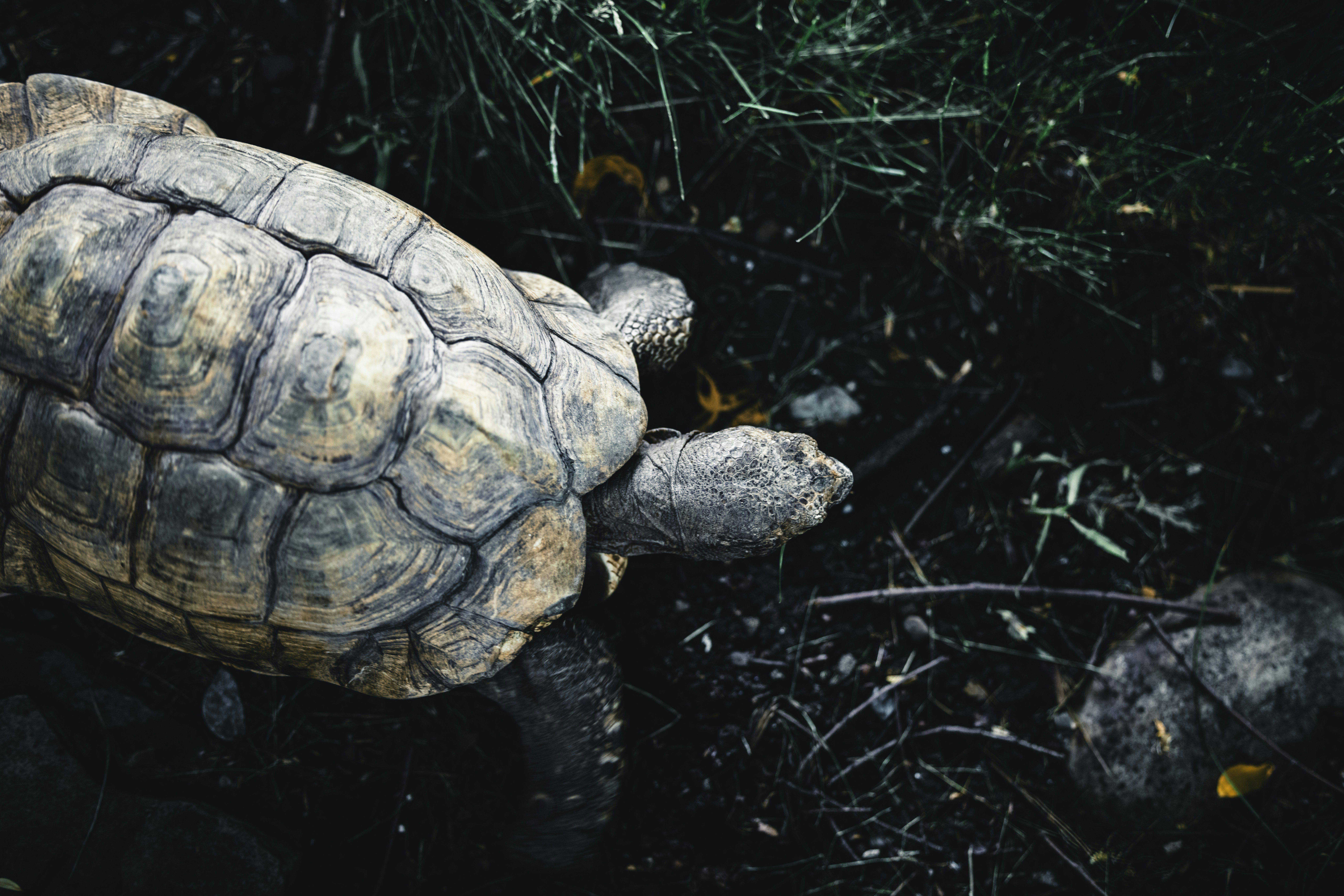 Photo by lureofadventure