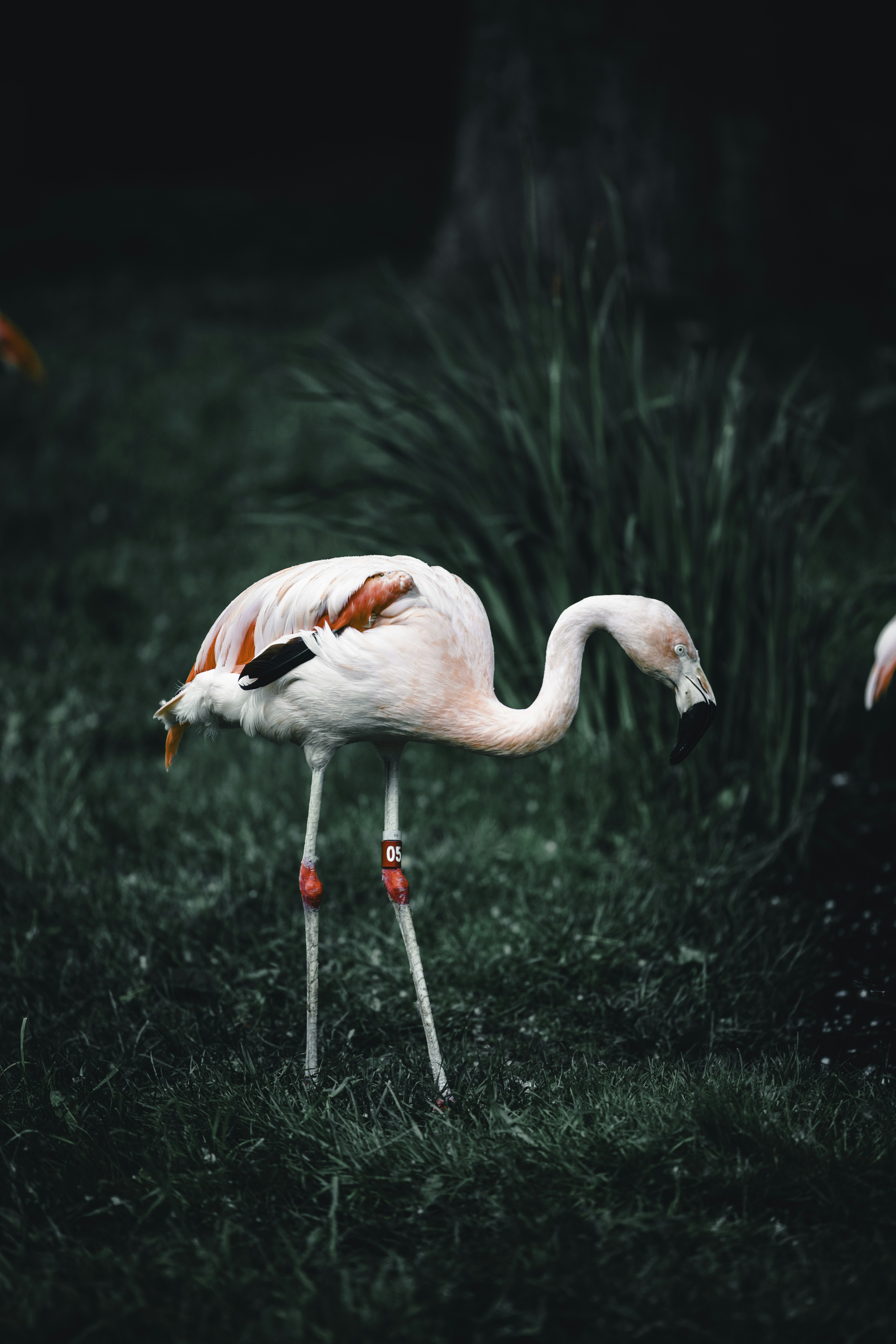 Photo by lureofadventure