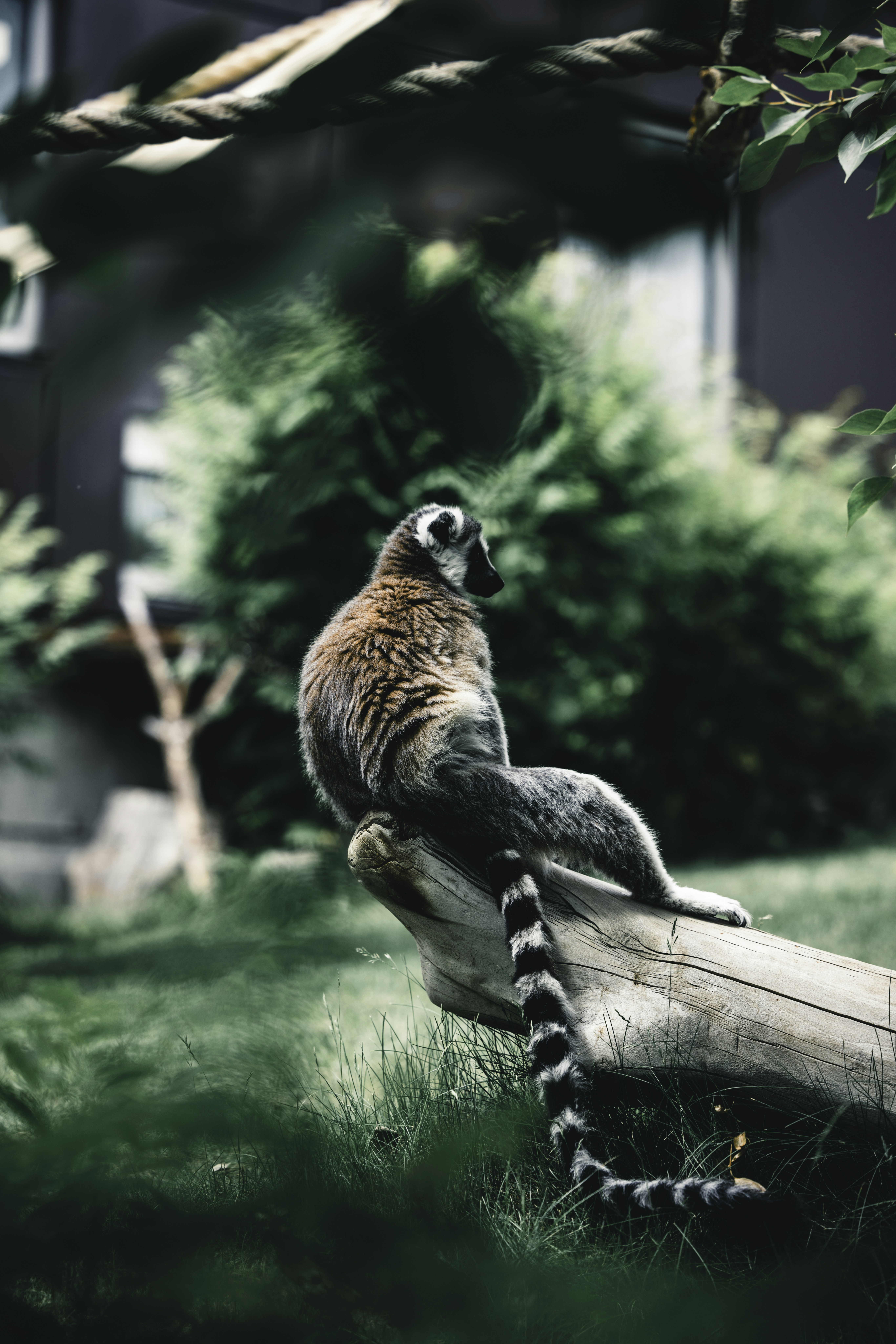 Photo by lureofadventure