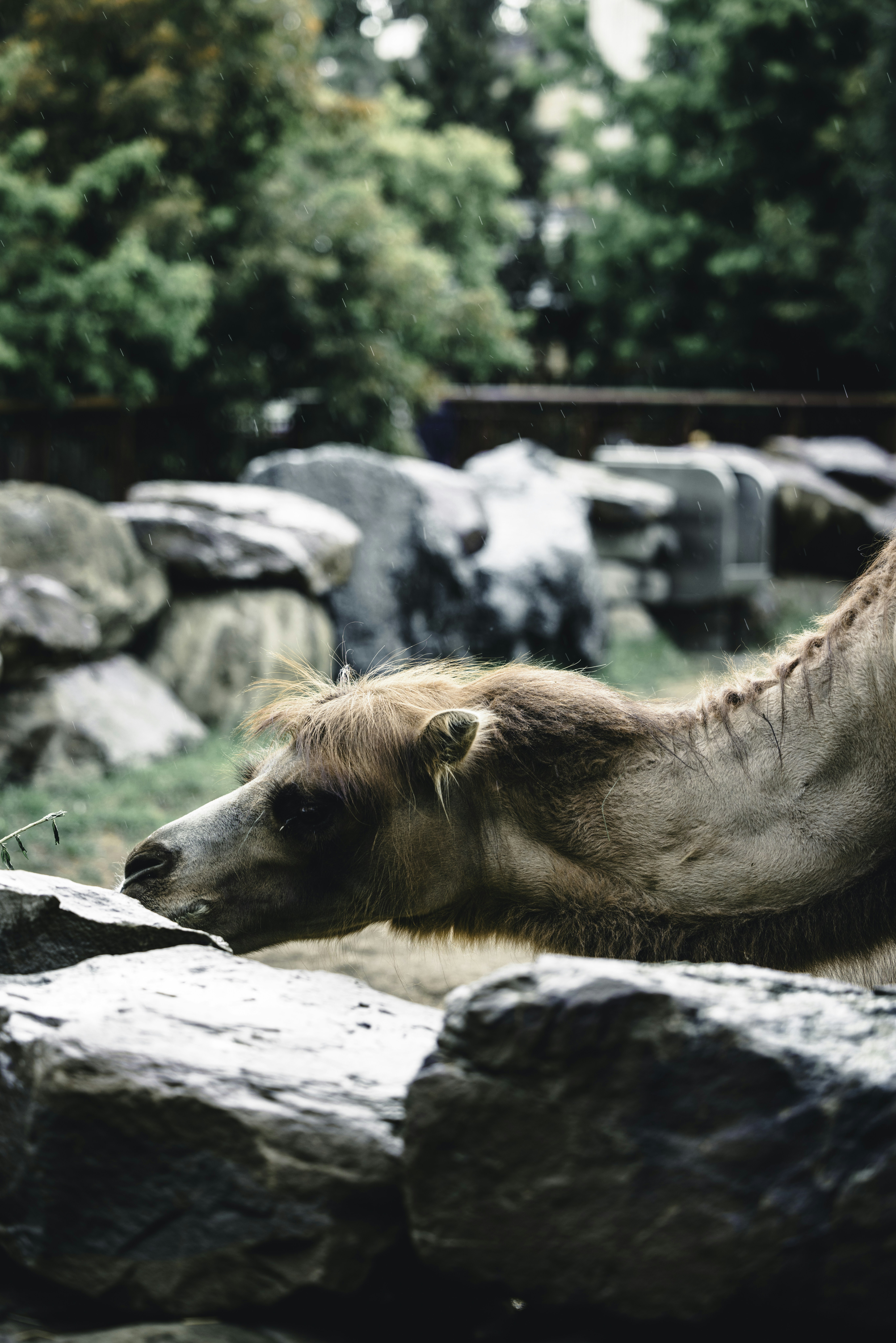 Photo by lureofadventure