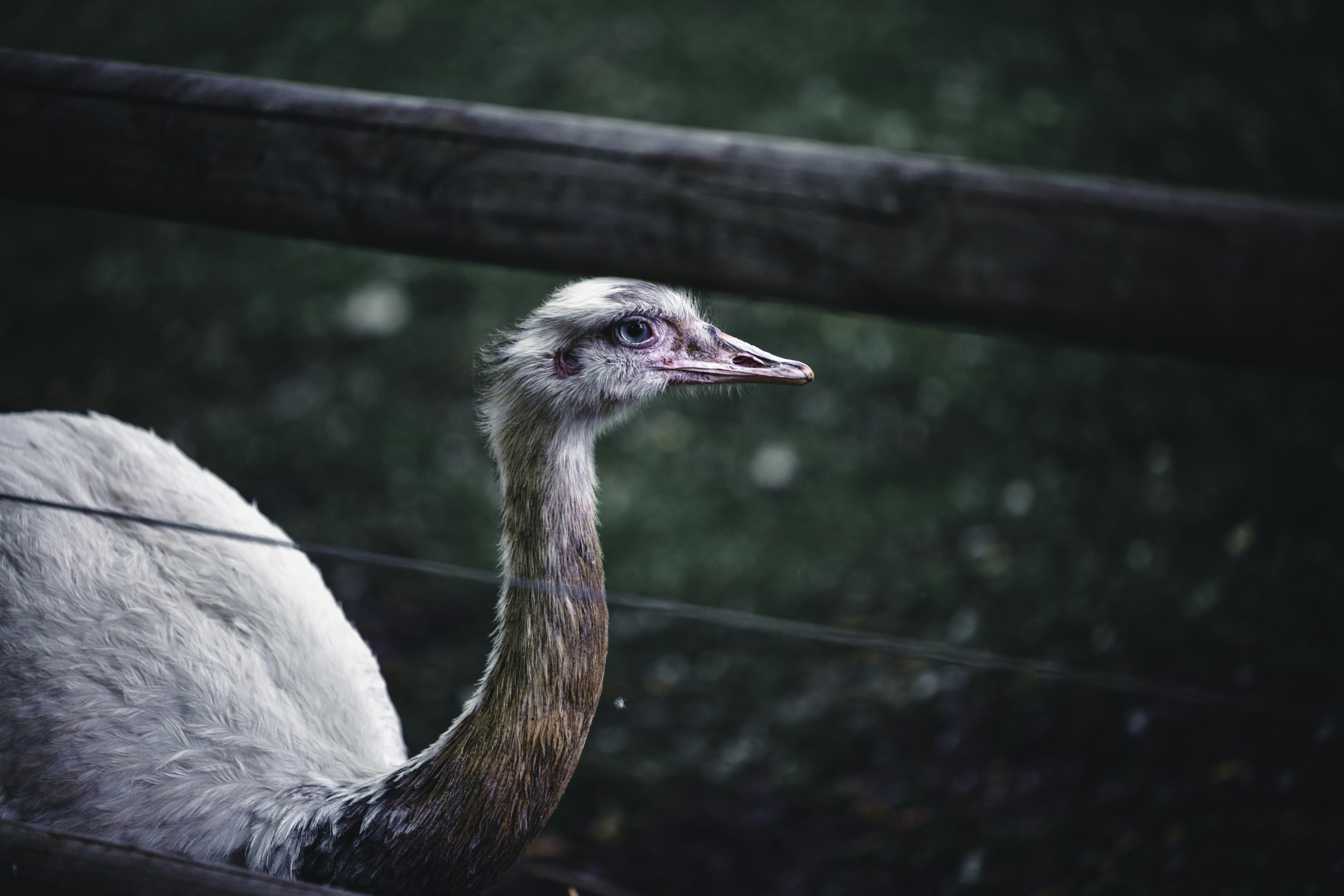 Photo by lureofadventure