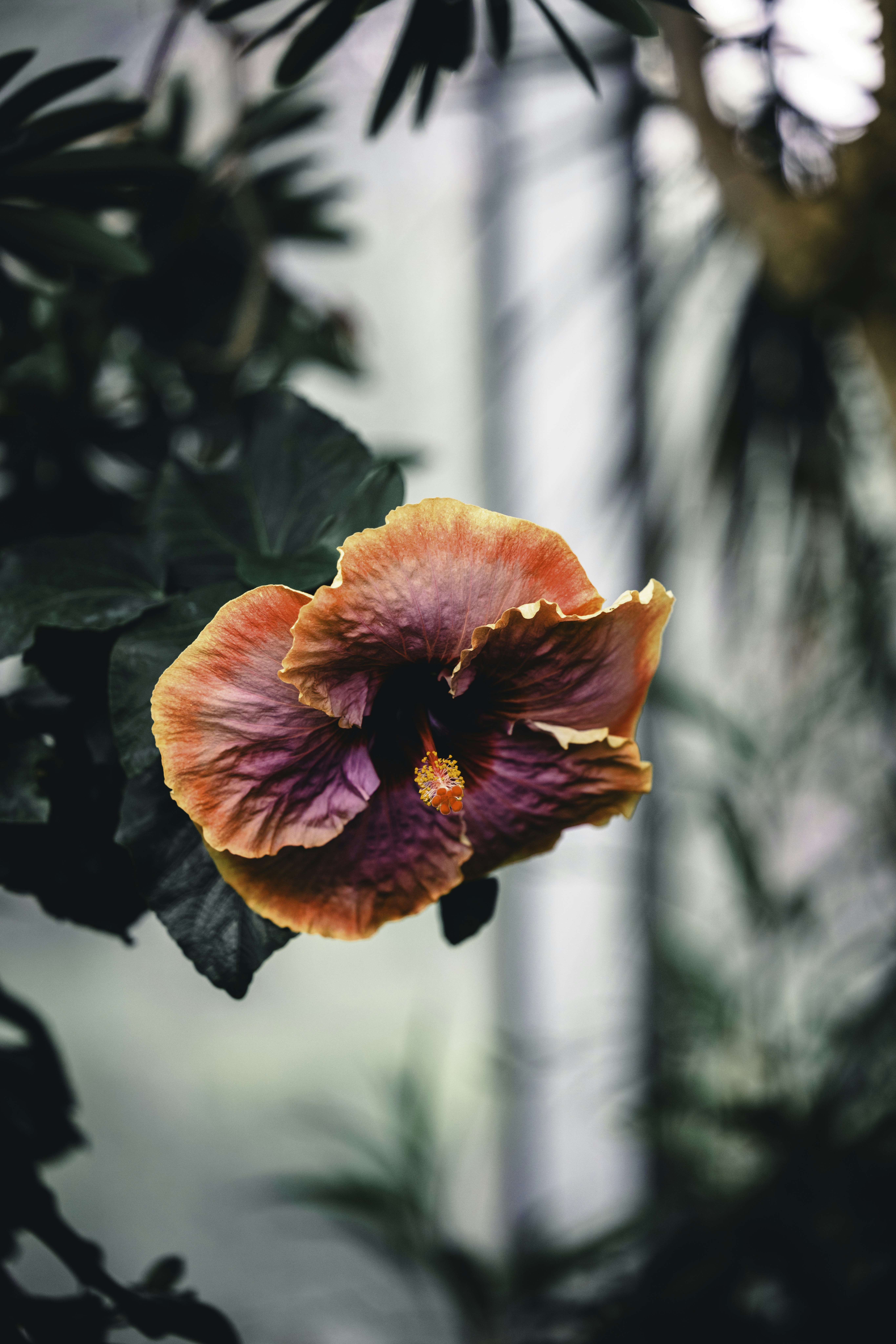 Photo by lureofadventure