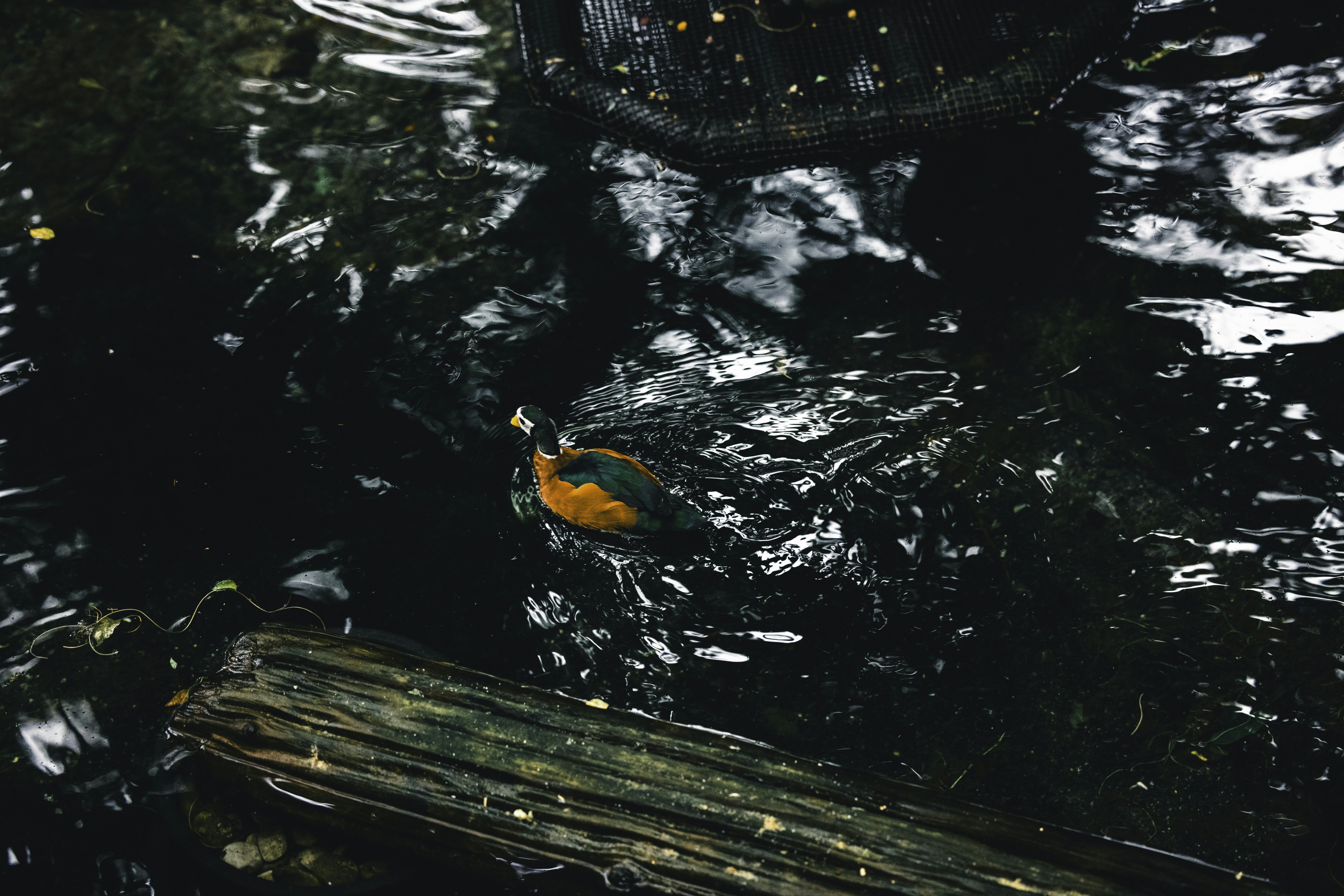 Photo by lureofadventure