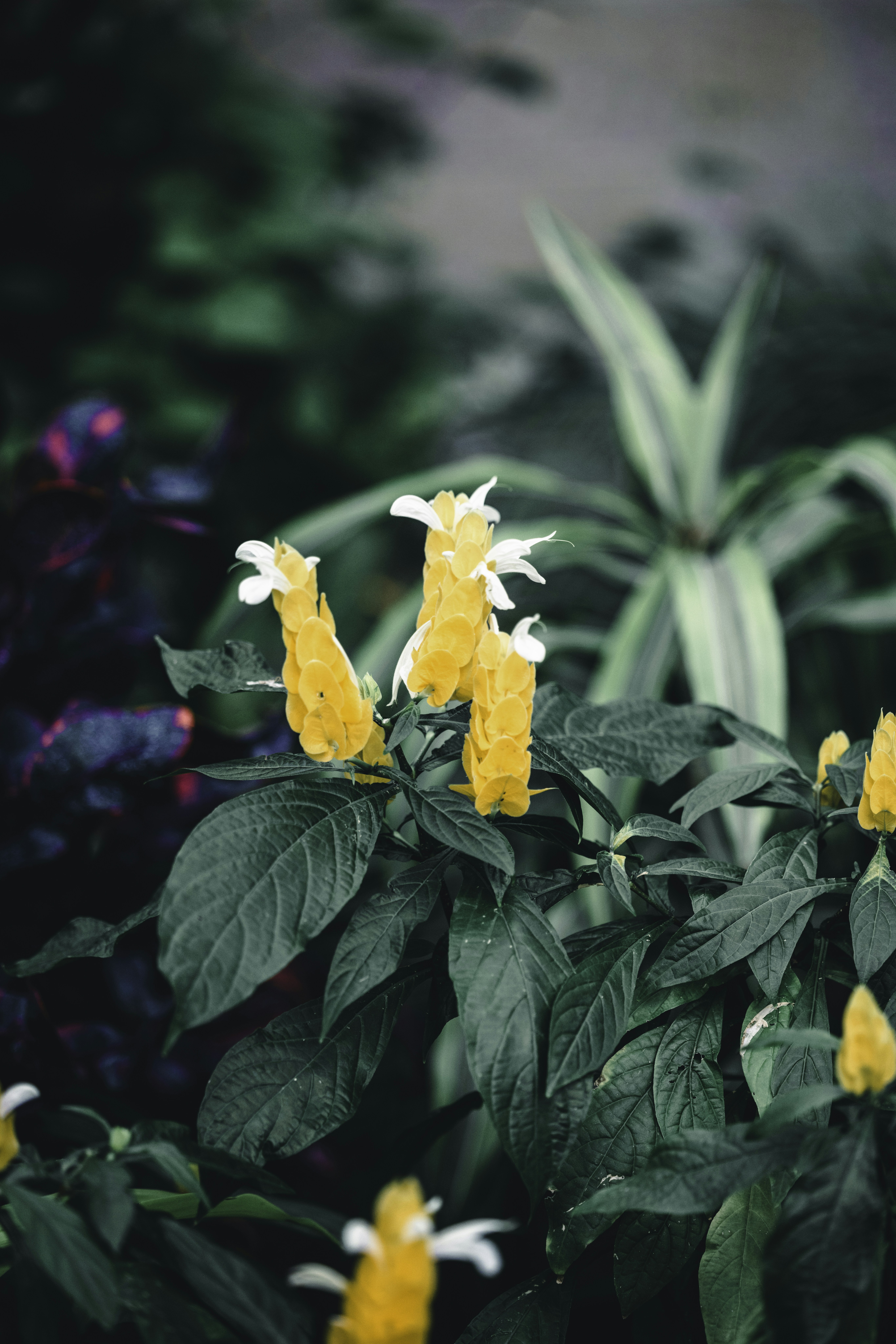 Photo by lureofadventure