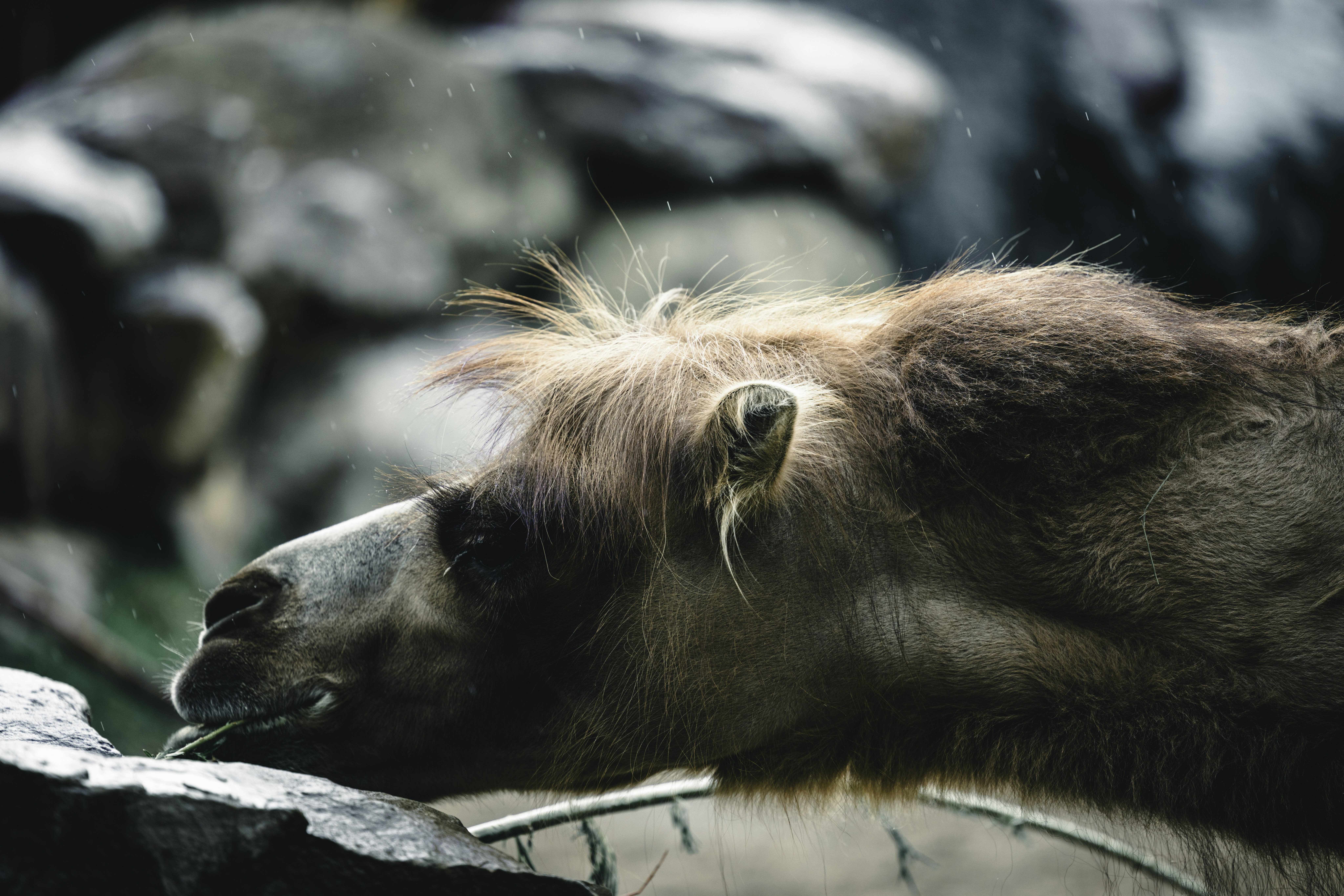 Photo by lureofadventure