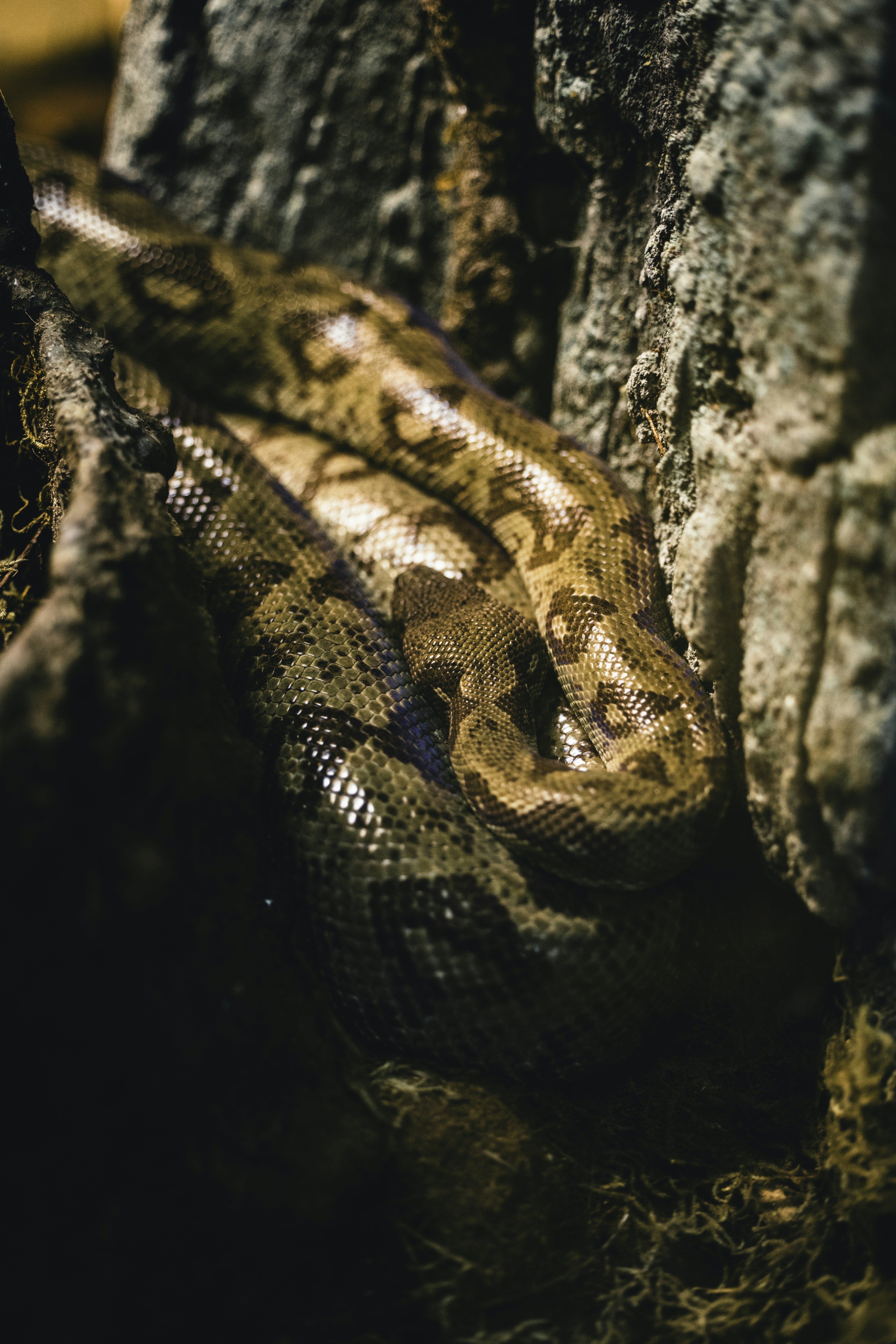 Photo by lureofadventure