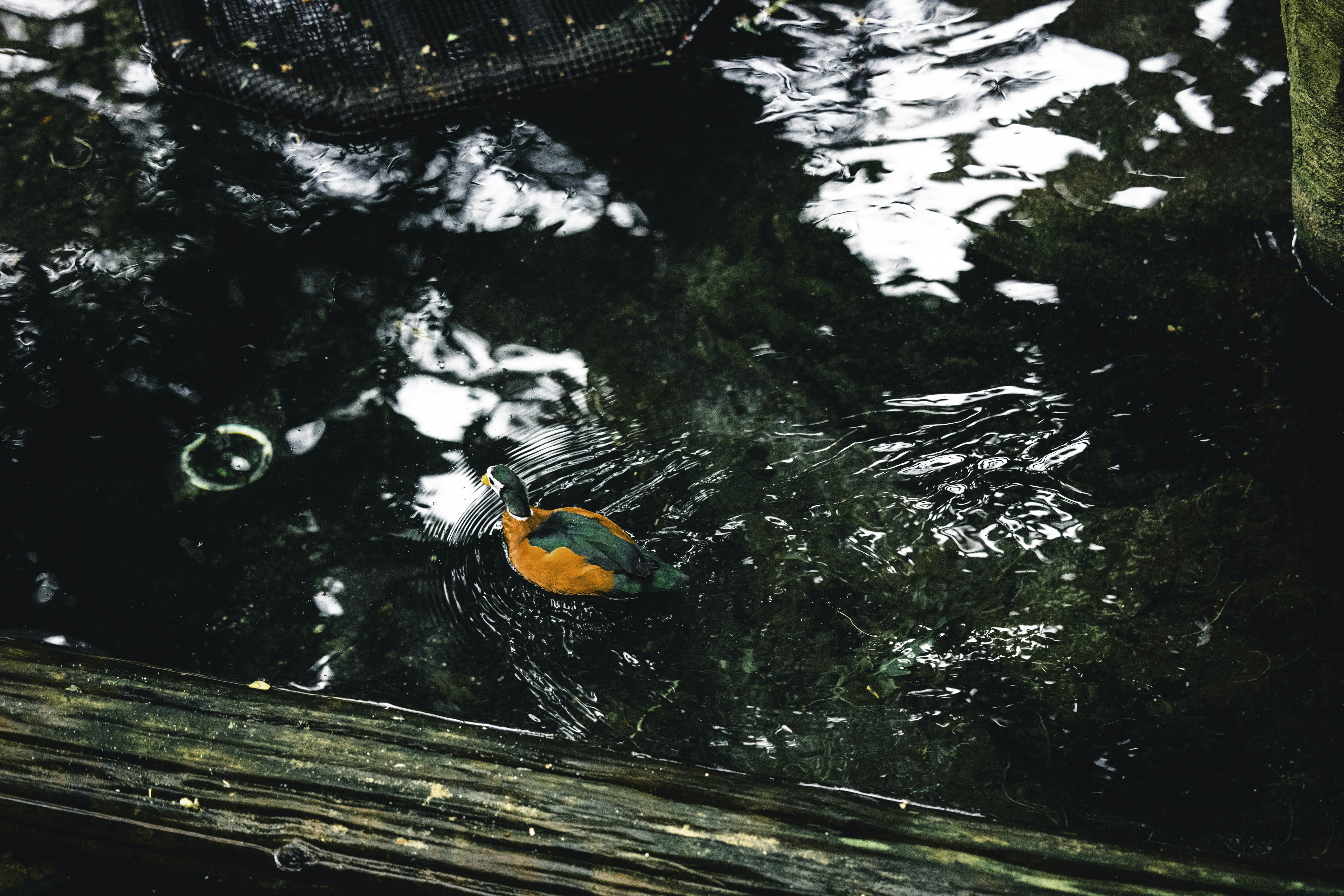 Photo by lureofadventure