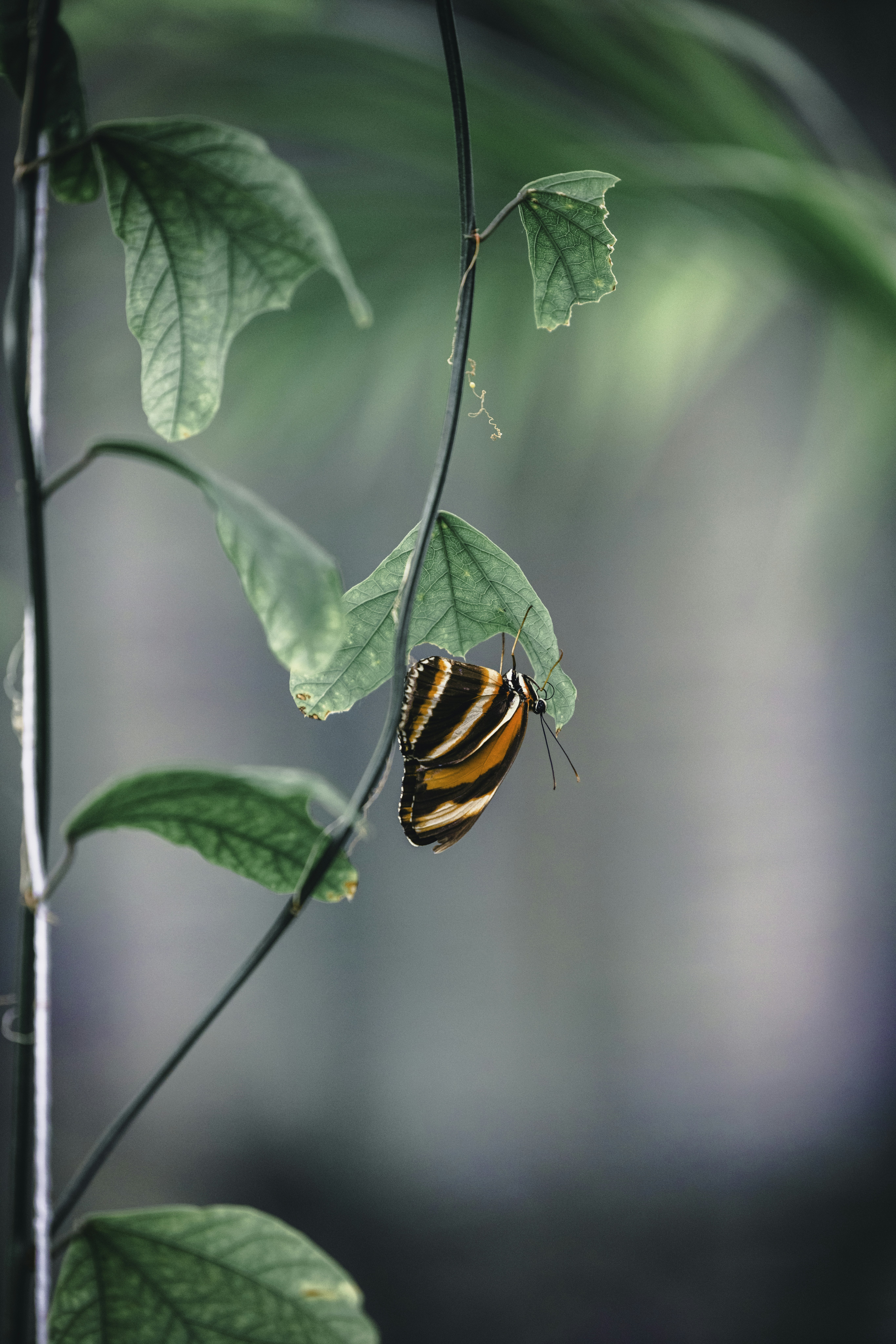 Photo by lureofadventure