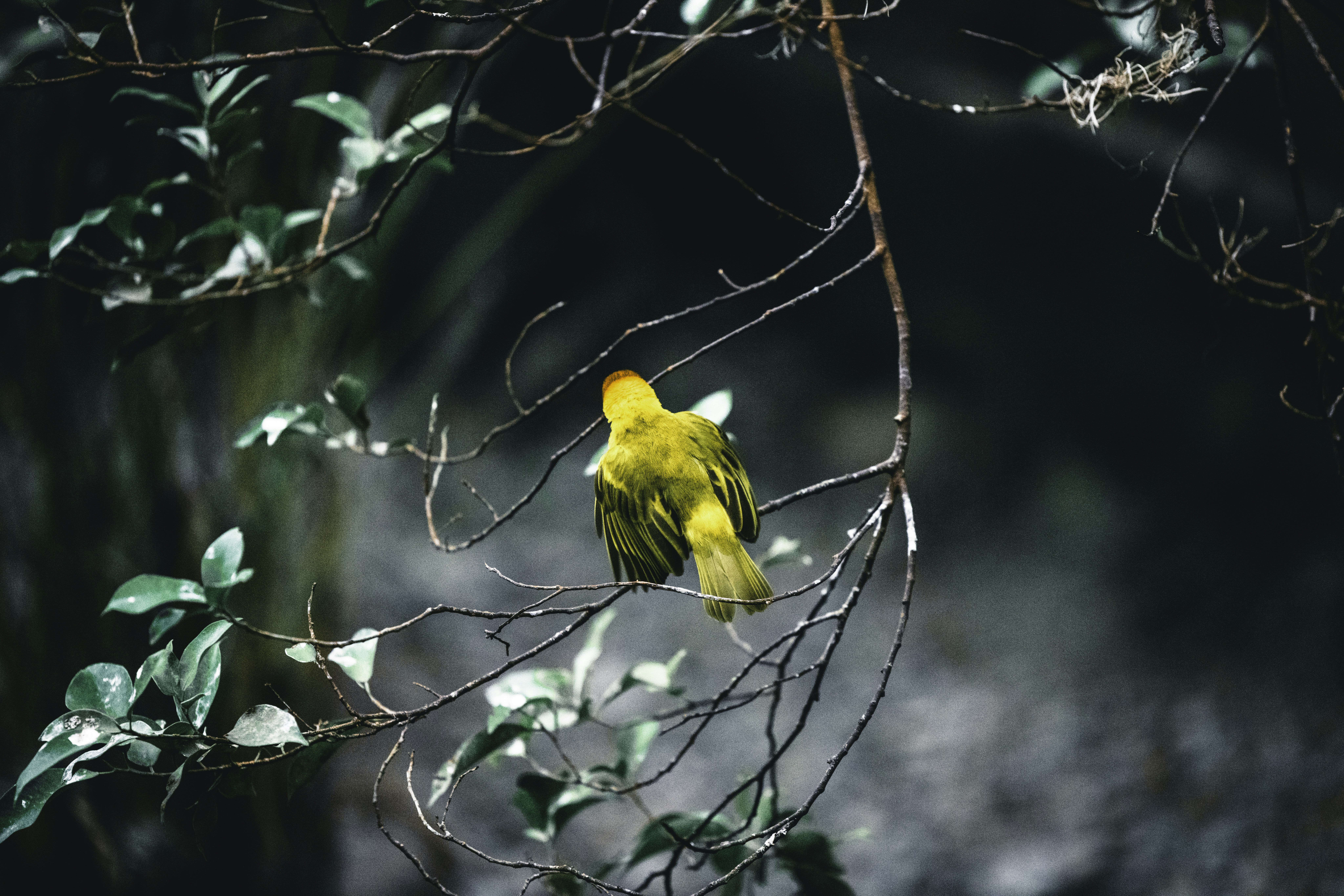 Photo by lureofadventure