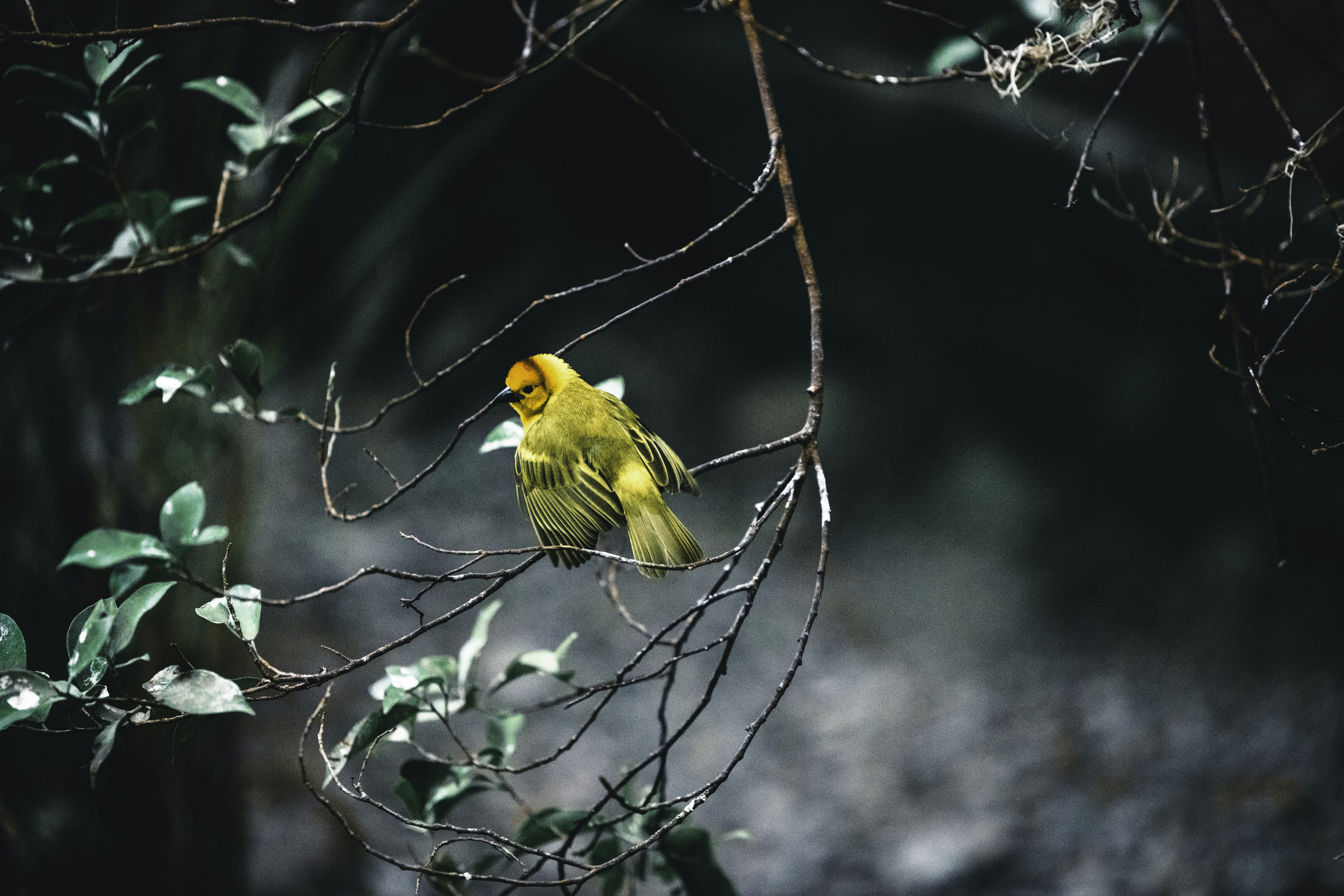 Photo by lureofadventure