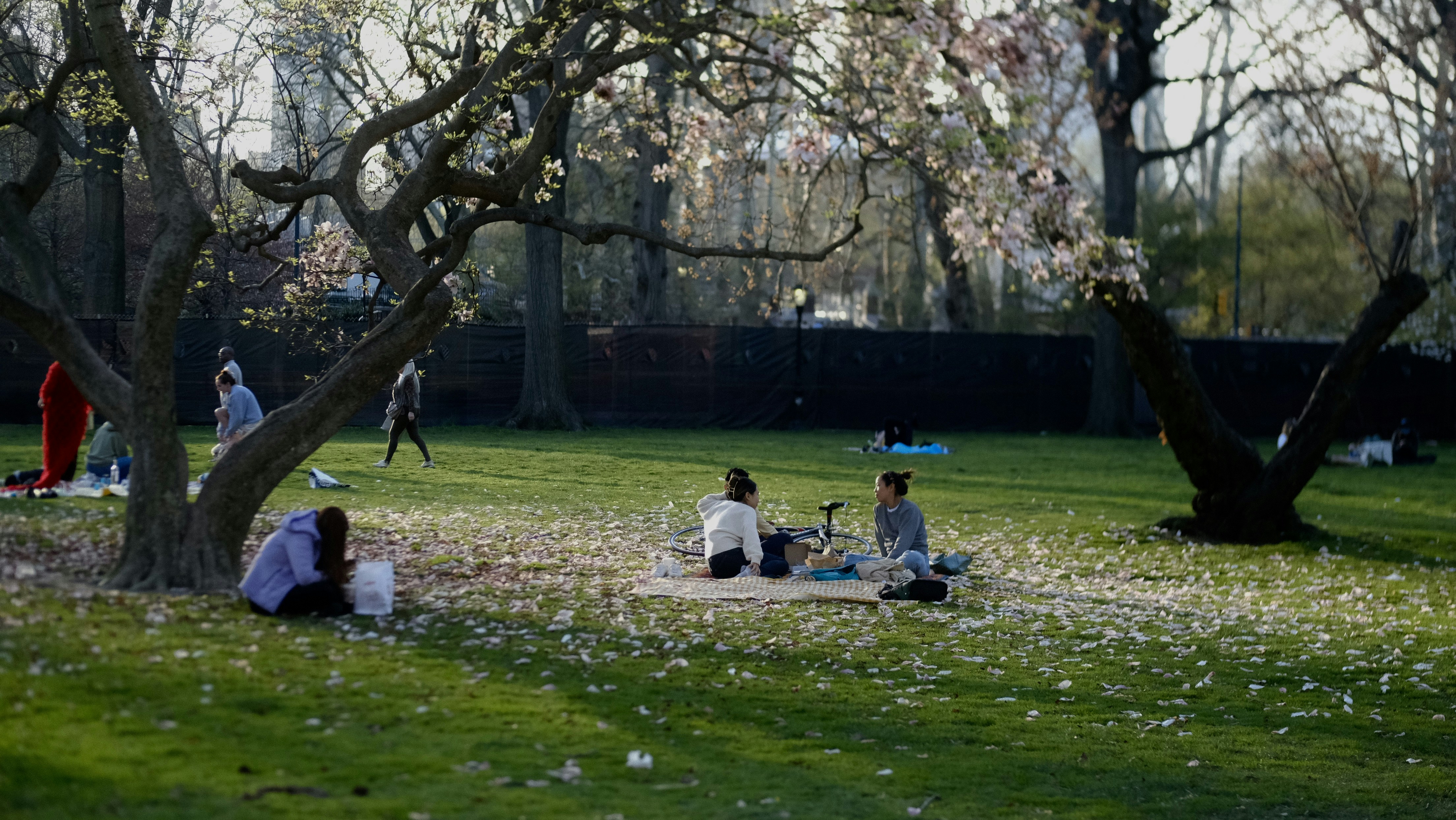 Photo by alice_odessa