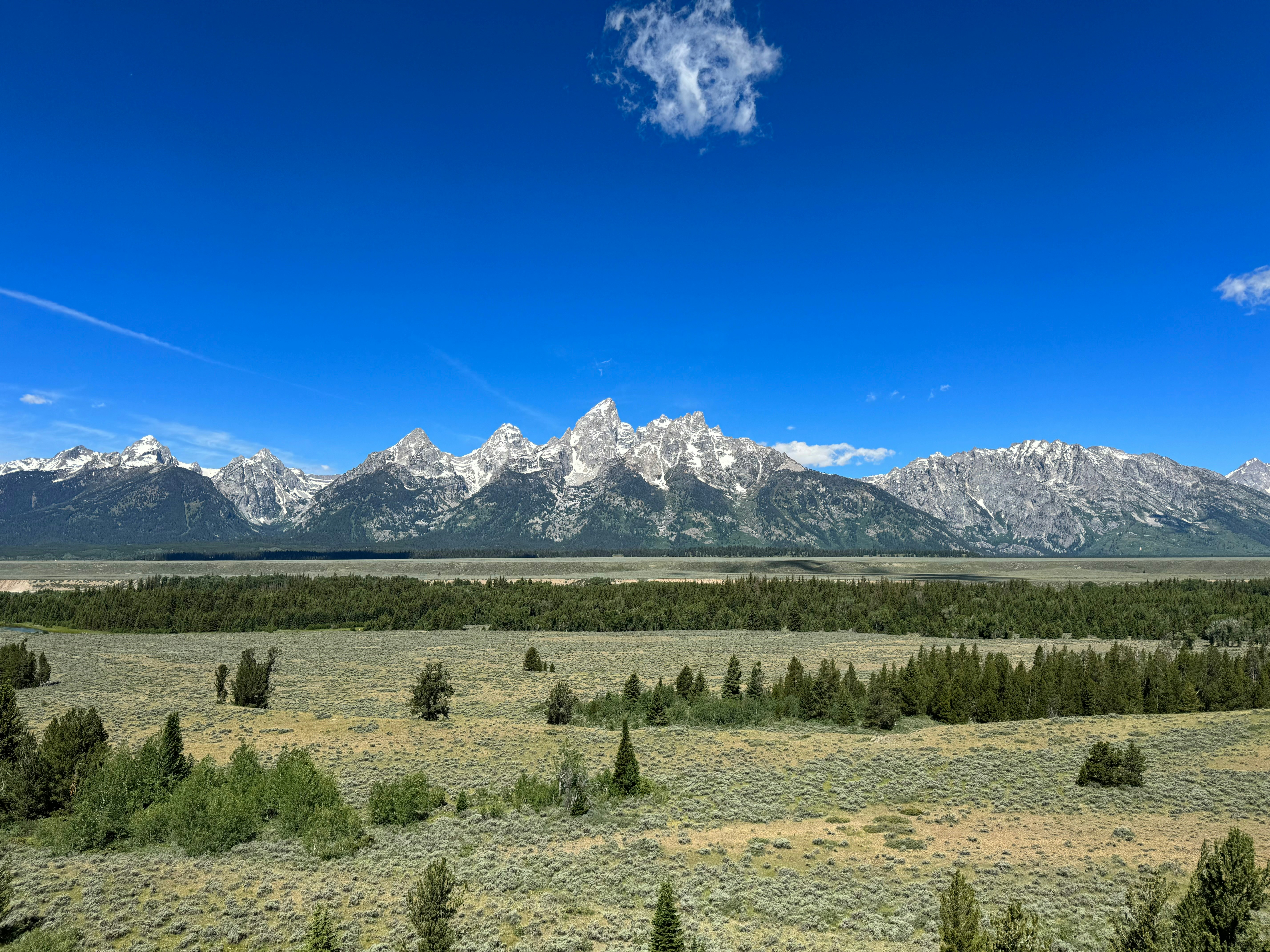 A wide open field with trees and mountains in the background
