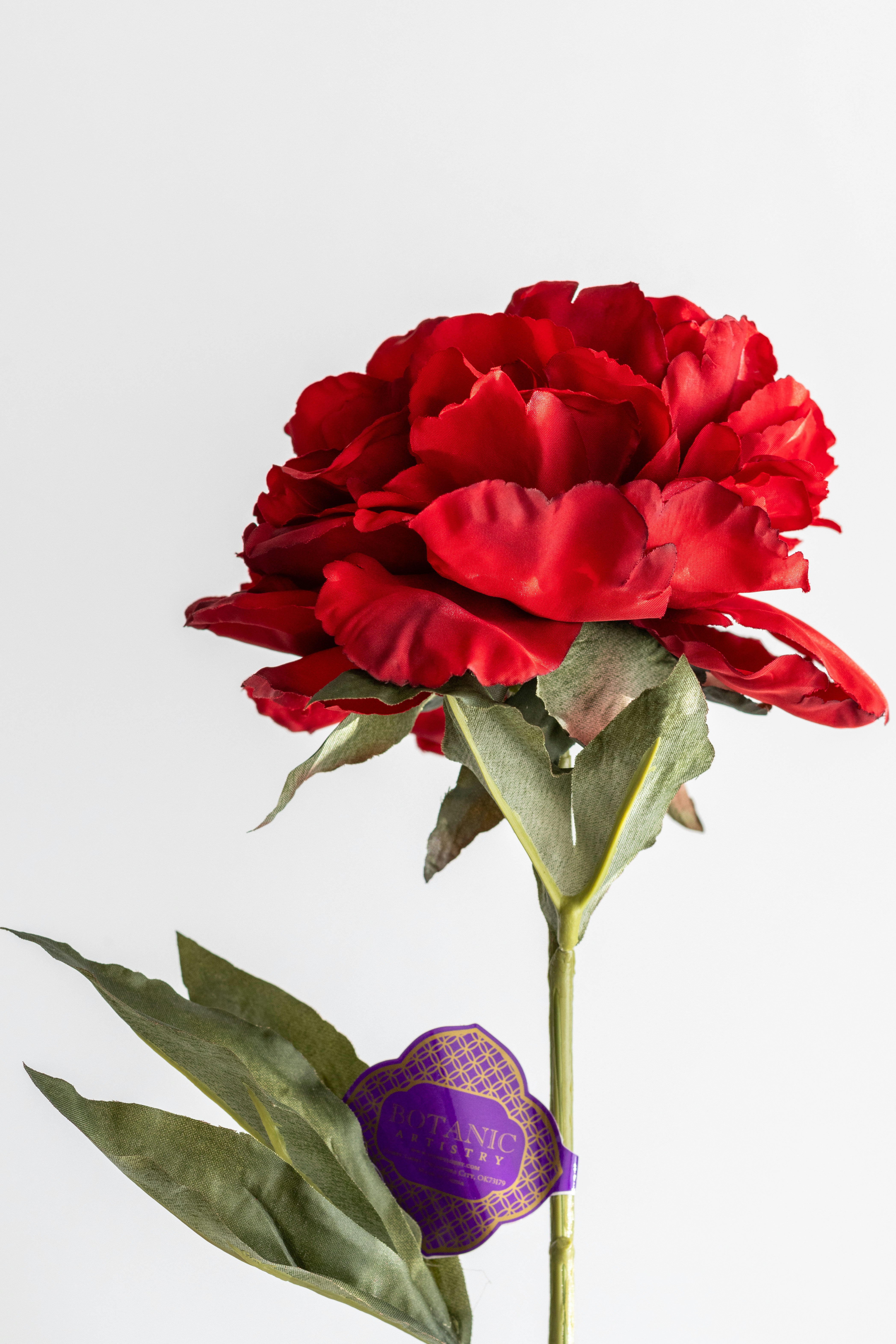 Eine rote Nelke mit einer lila Maske darauf