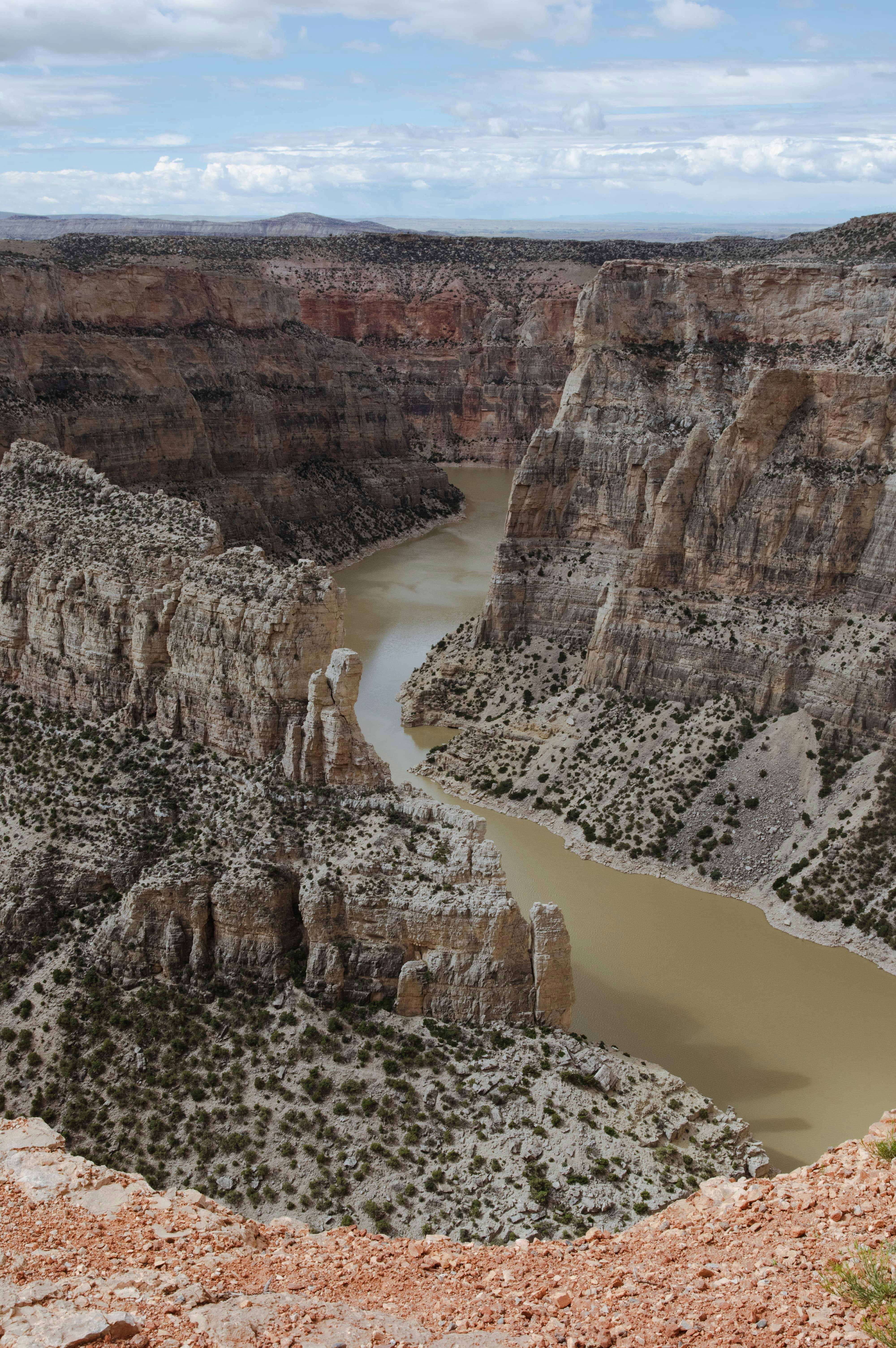 Photo by bronsonvalley