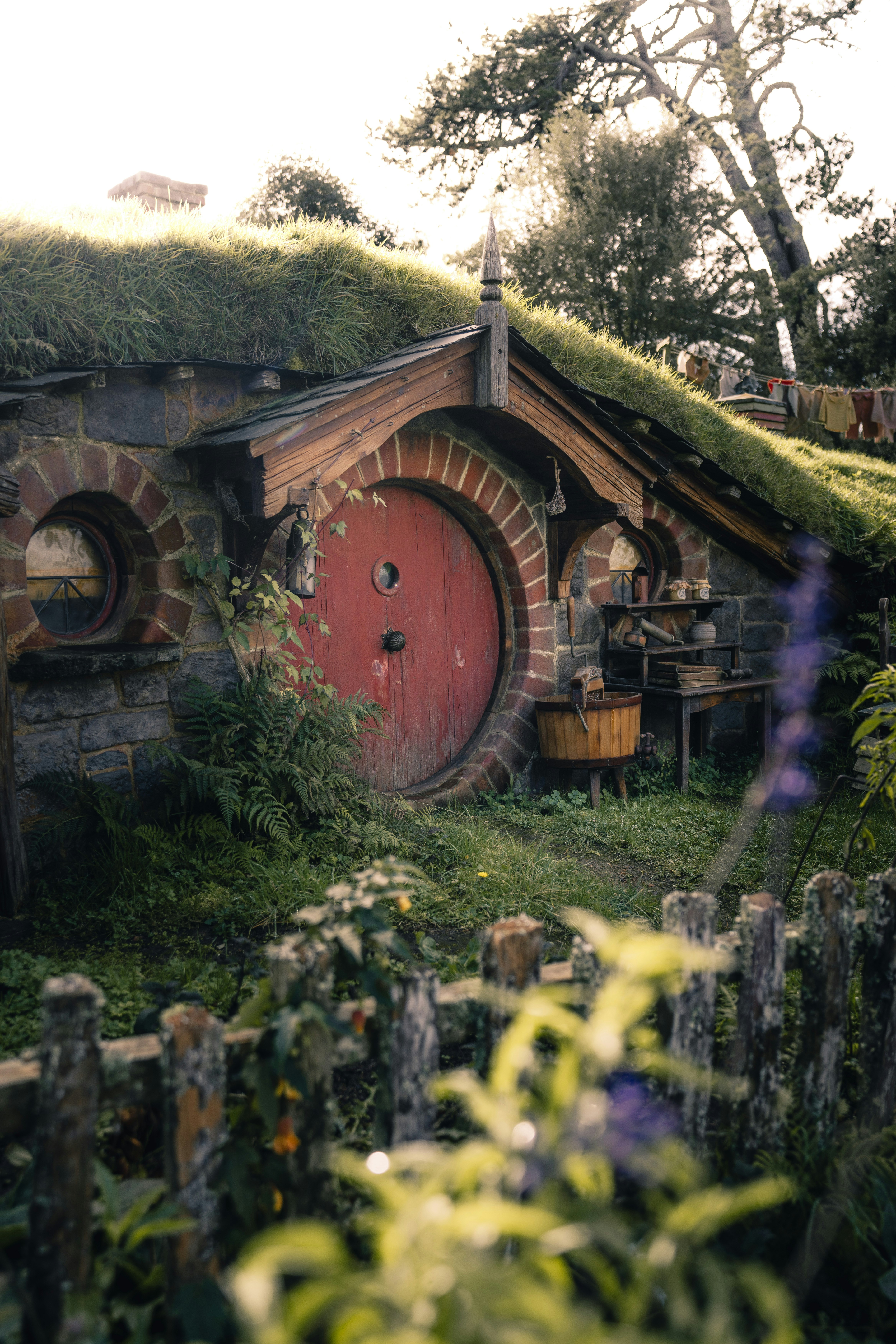 Photo by leob_photography