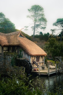 A house with a thatched roof next to a body of water