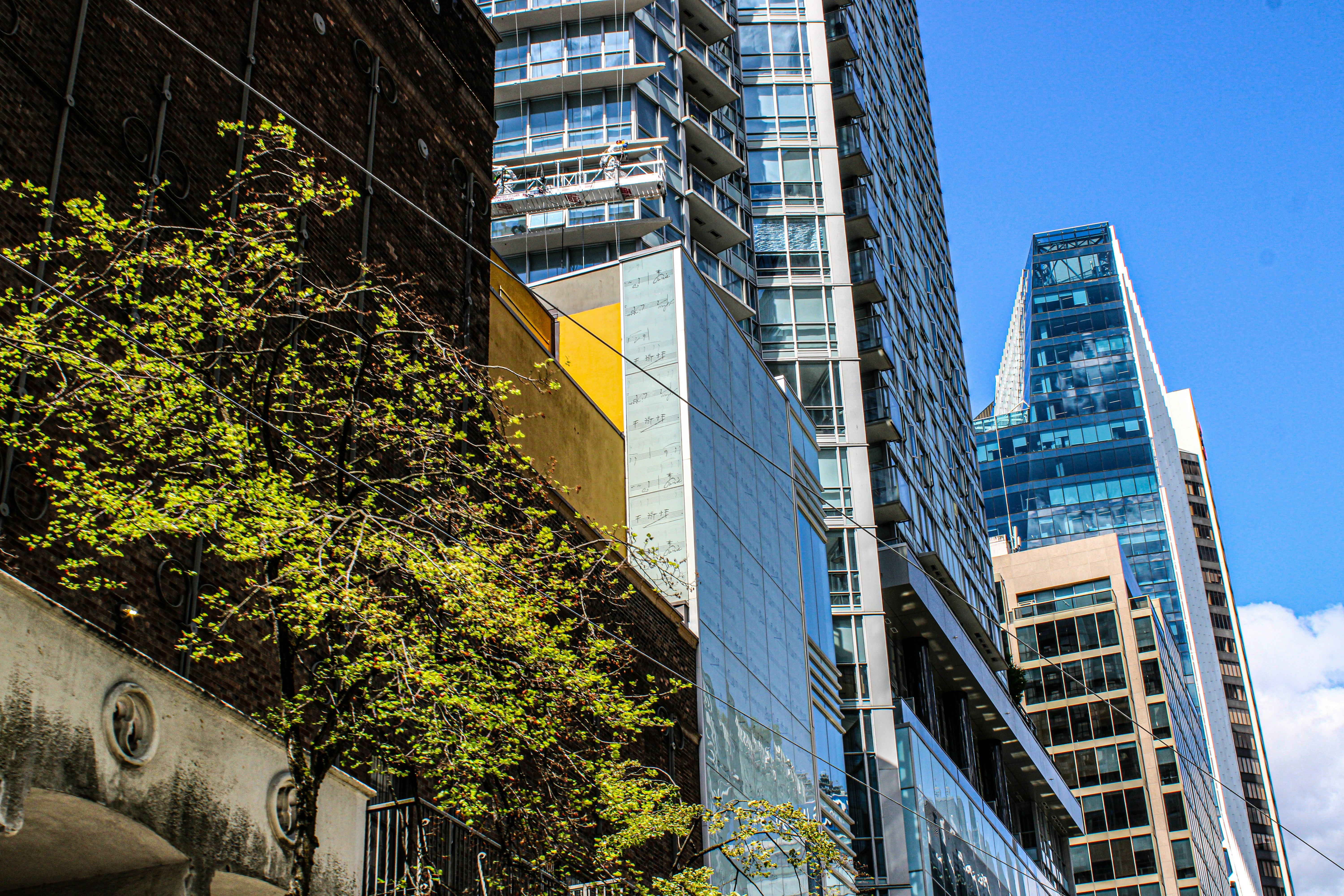 Photo by prphotography262