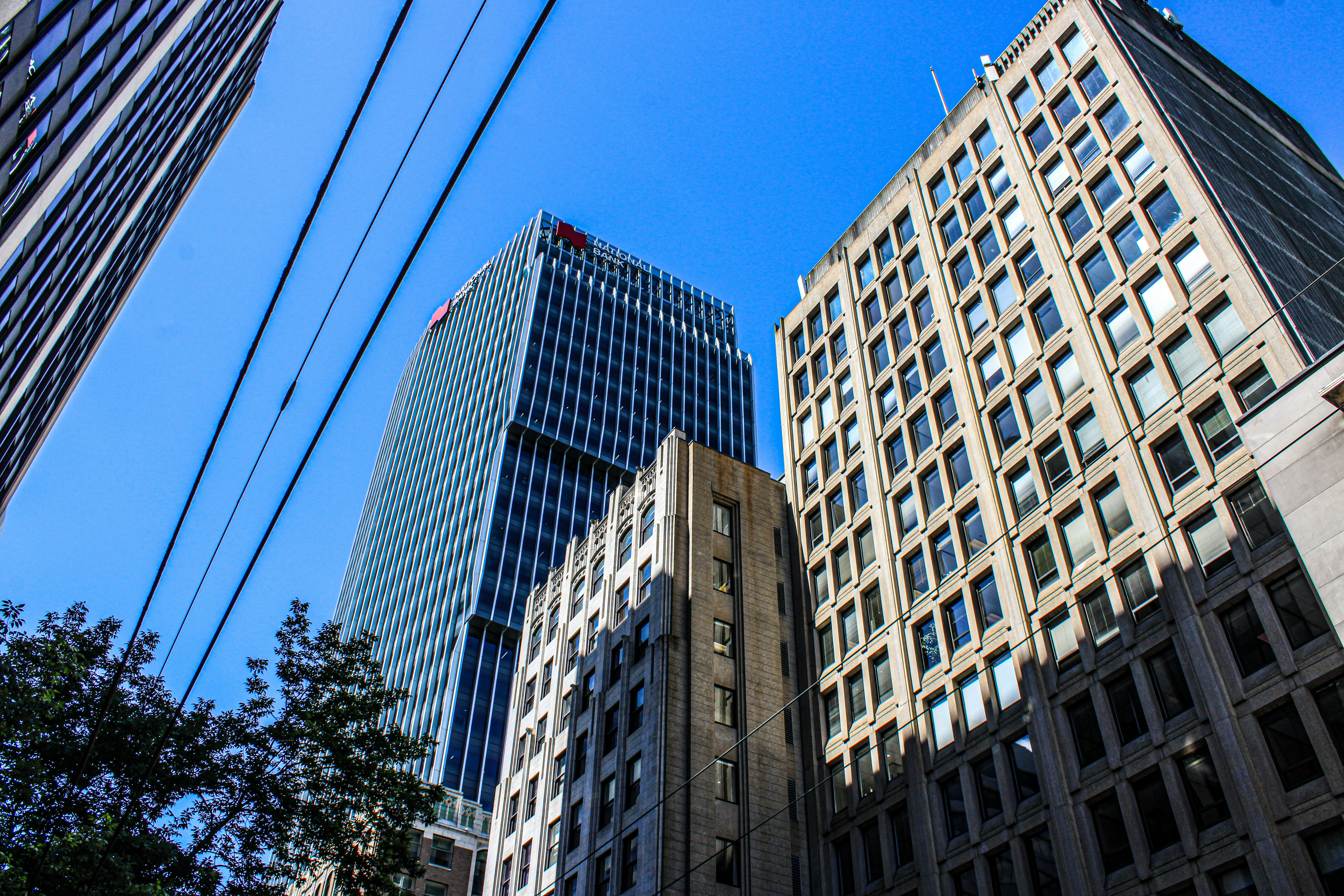 Photo by prphotography262