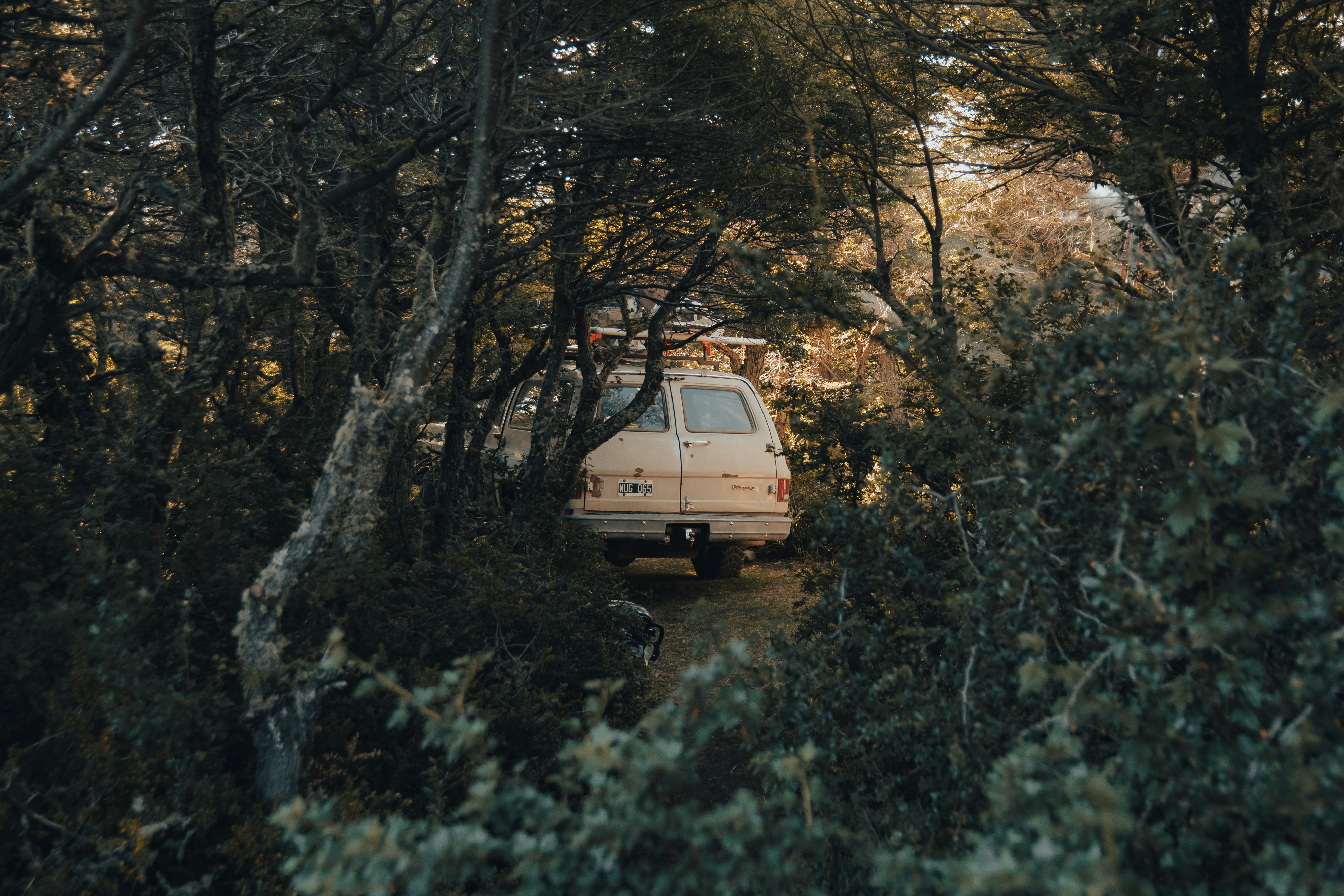 Chevrolet Forester 상세