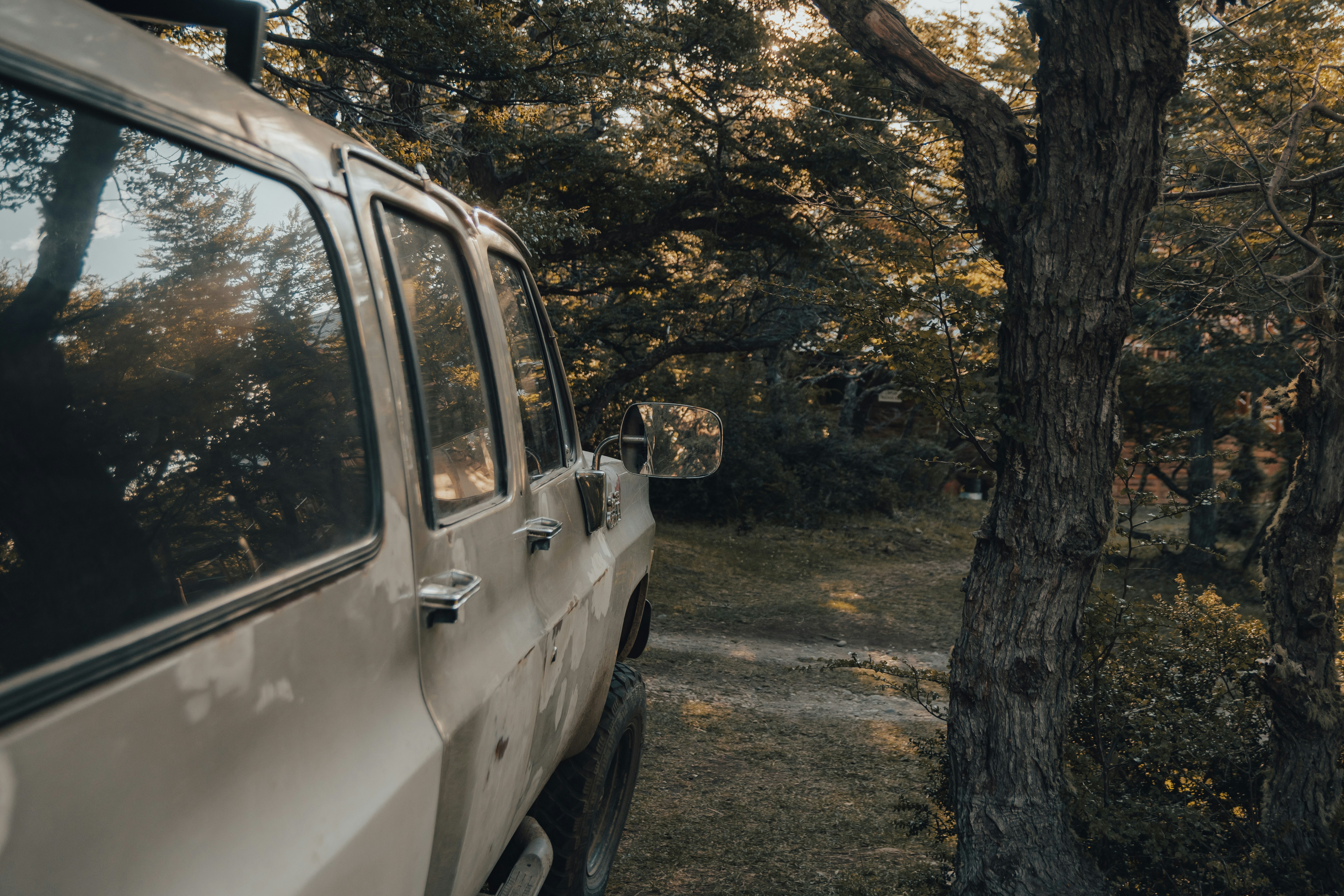 A car parked in a wooded area next to a tree