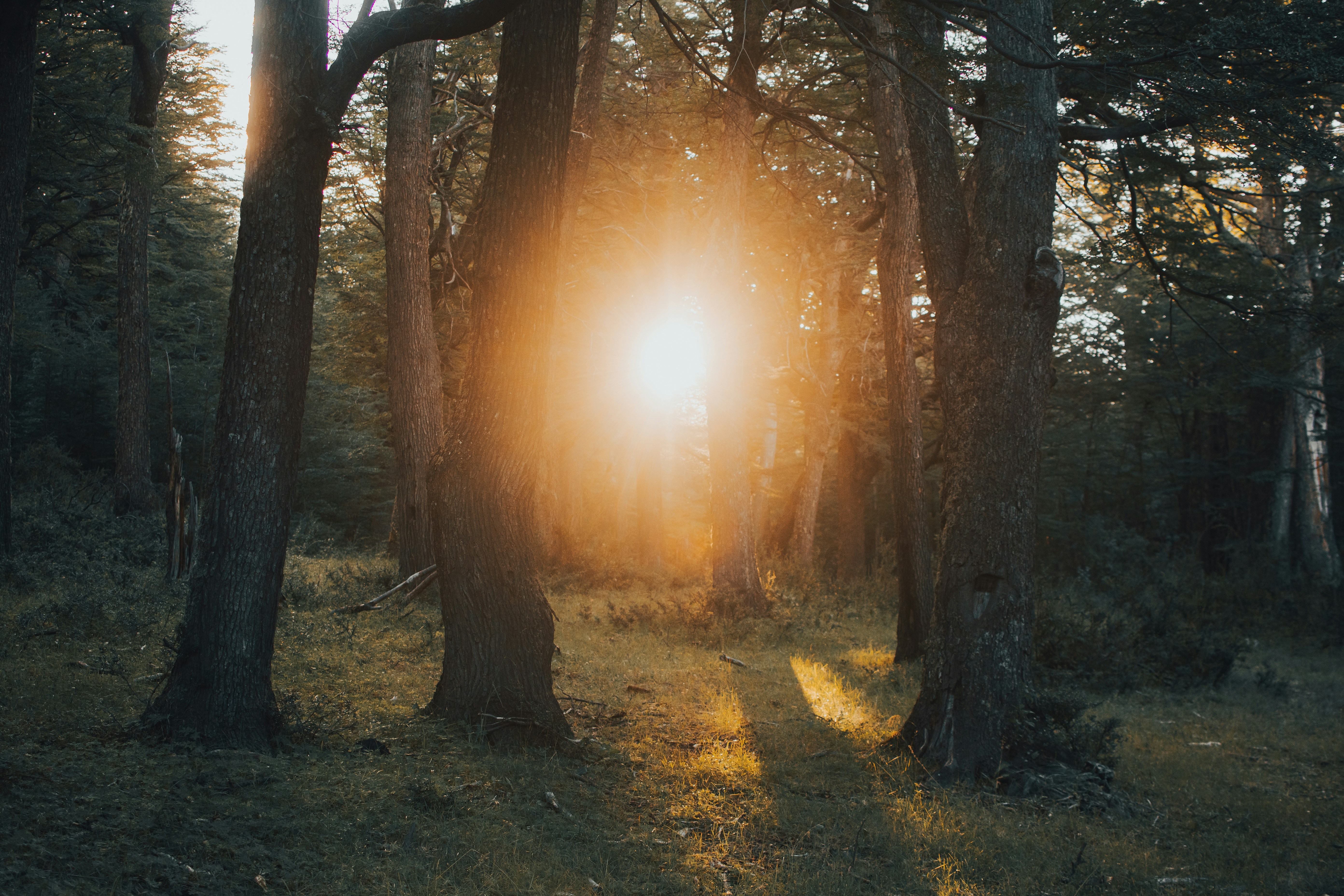 Photo by gasparzaldo