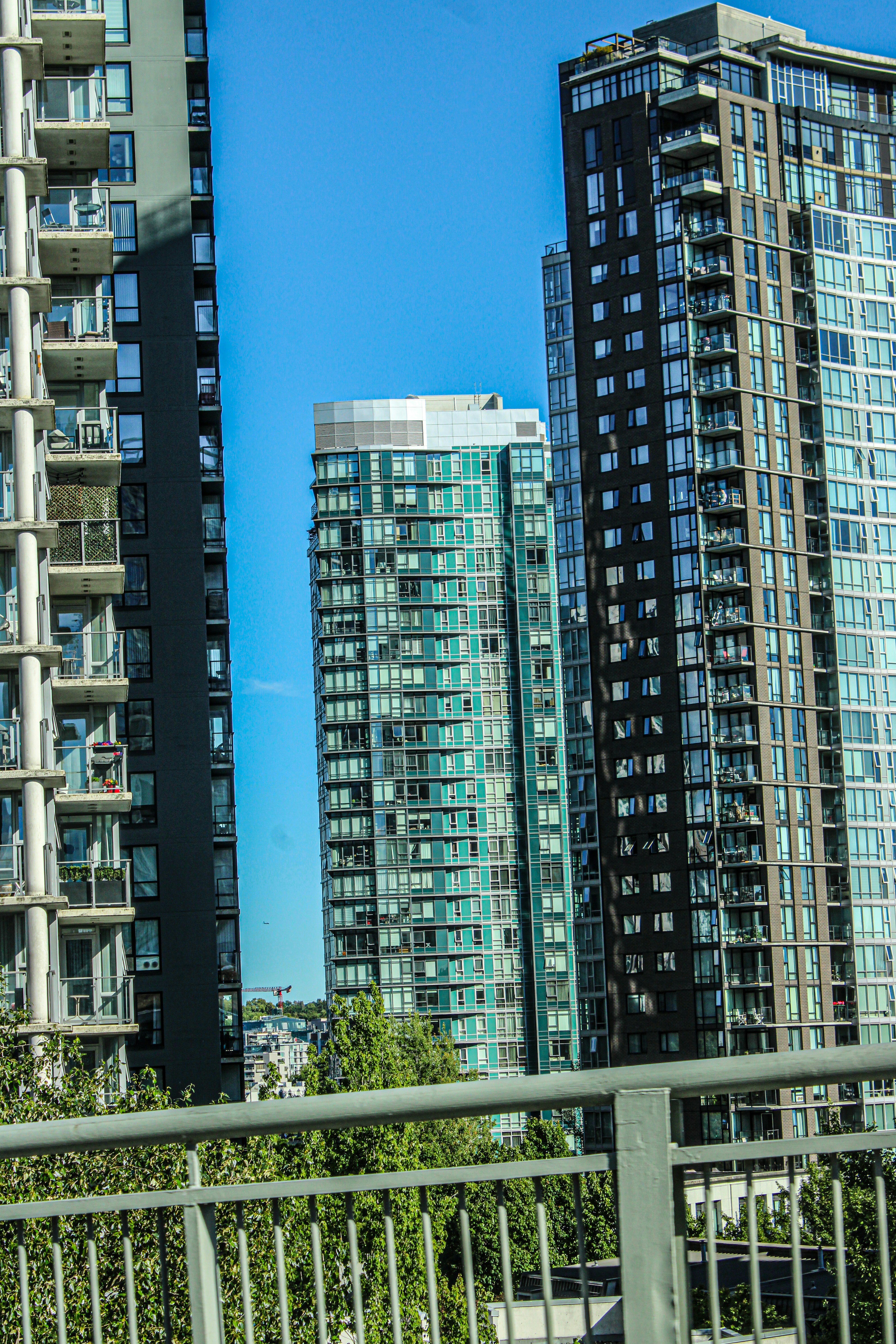 Photo by prphotography262