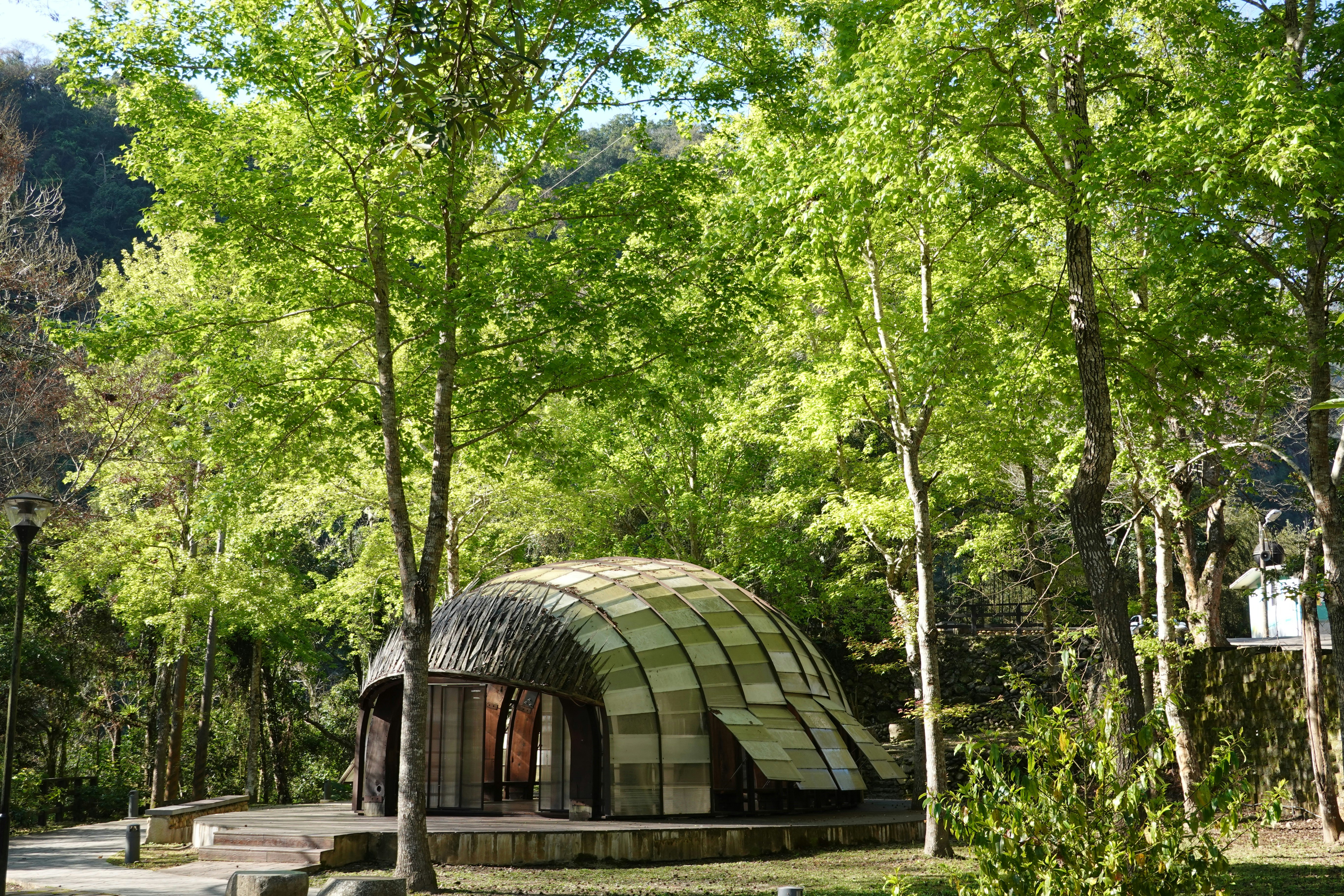 Luxury tent among the Kyoto forest