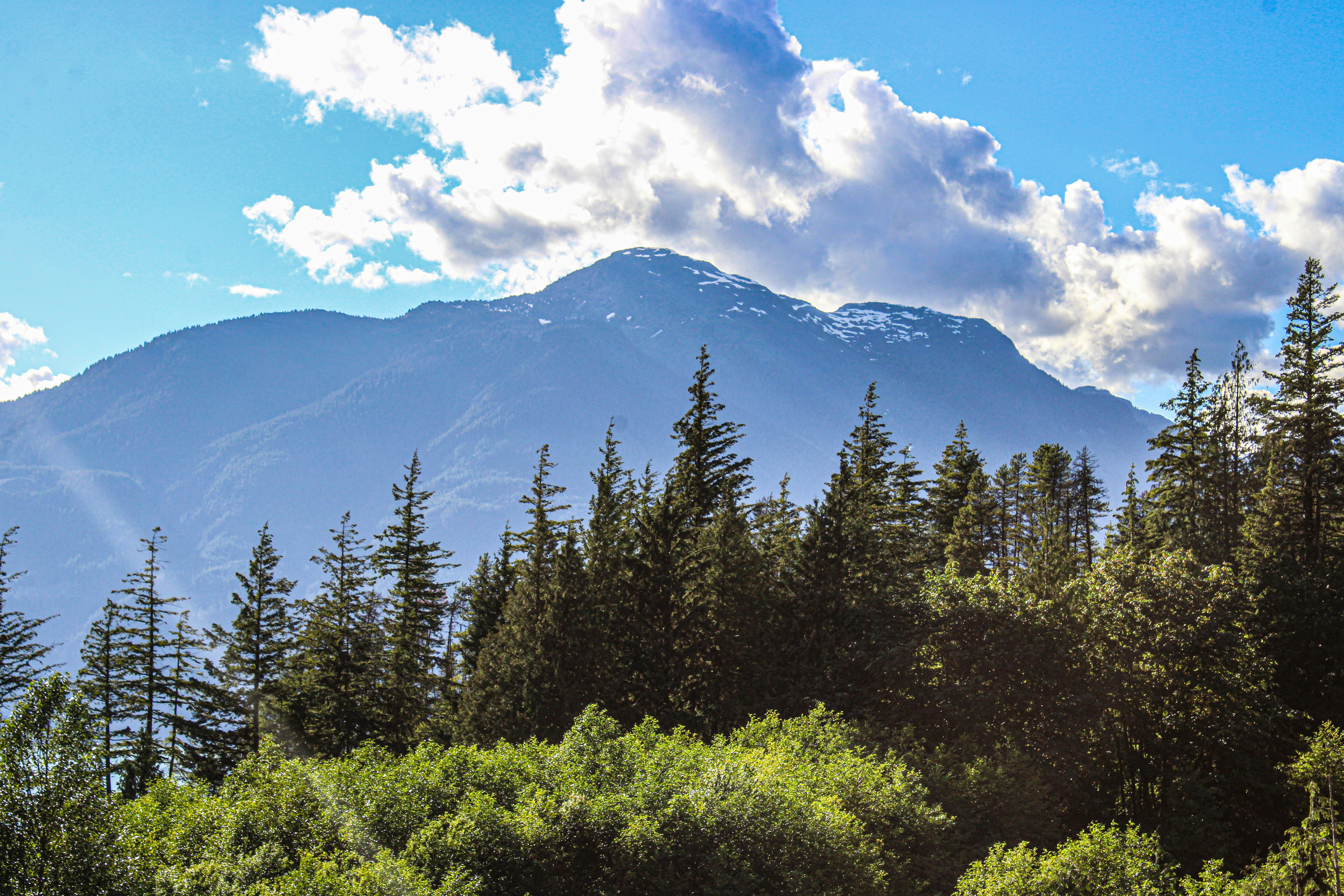 Photo by prphotography262