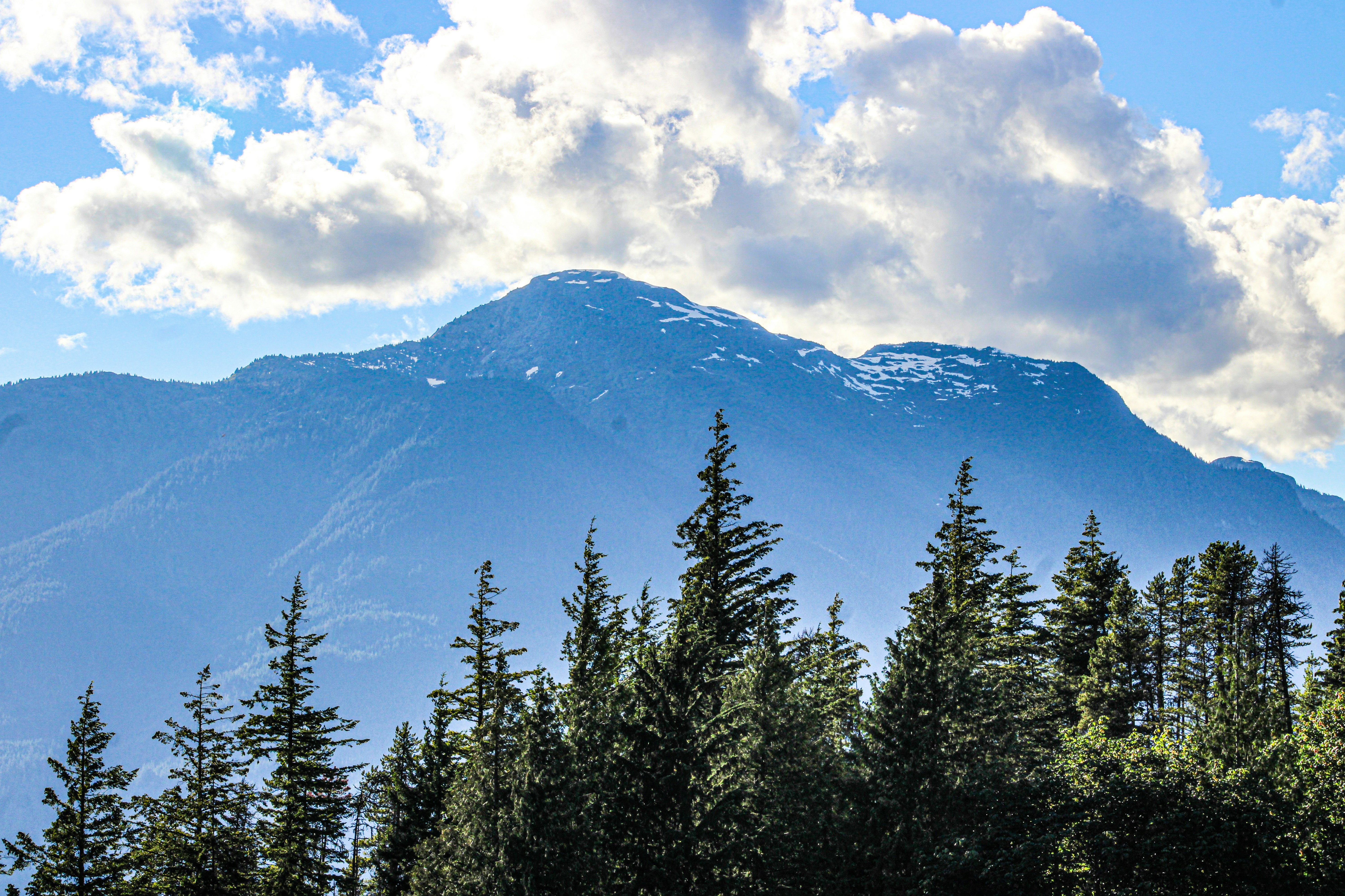 Photo by prphotography262