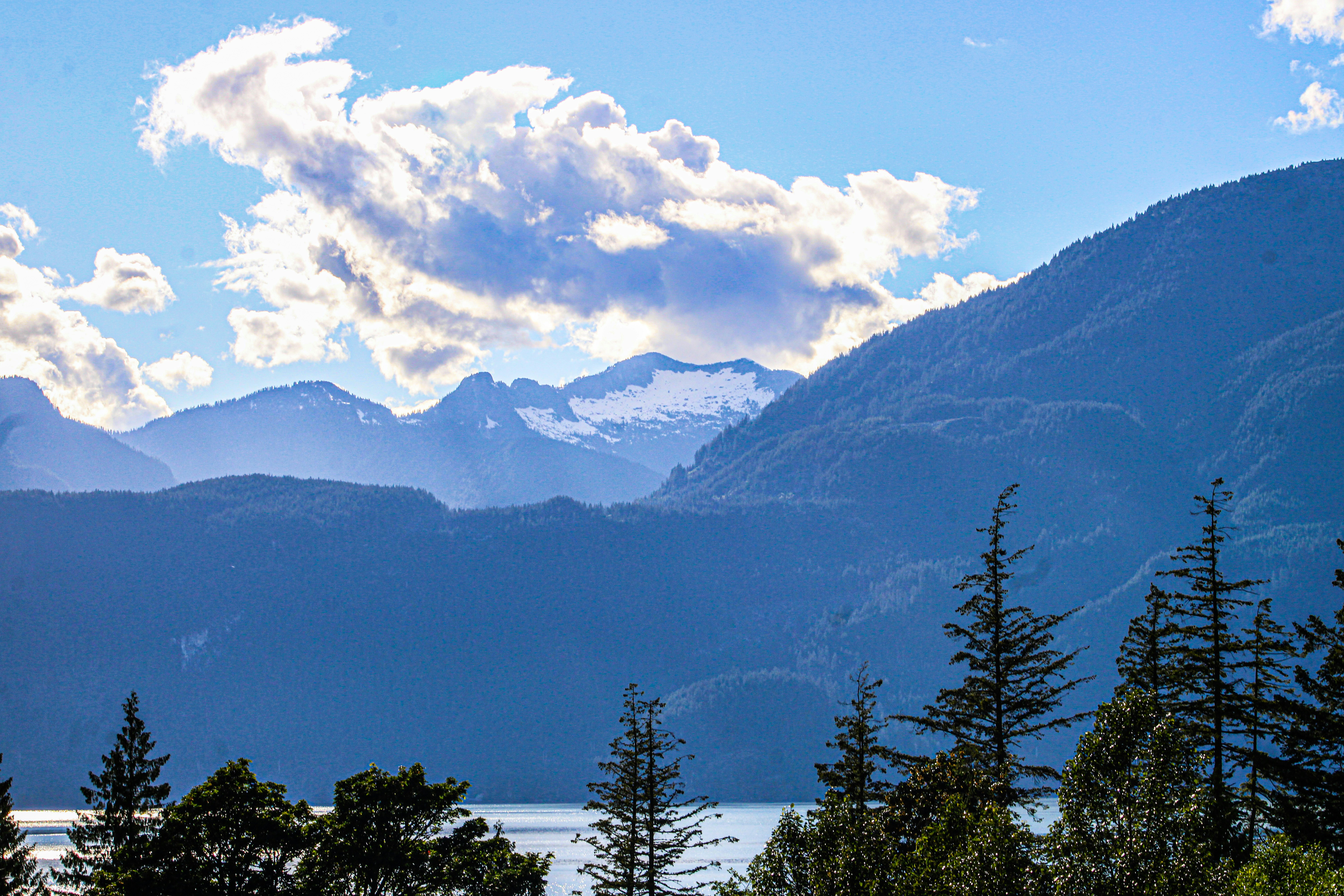 Photo by prphotography262