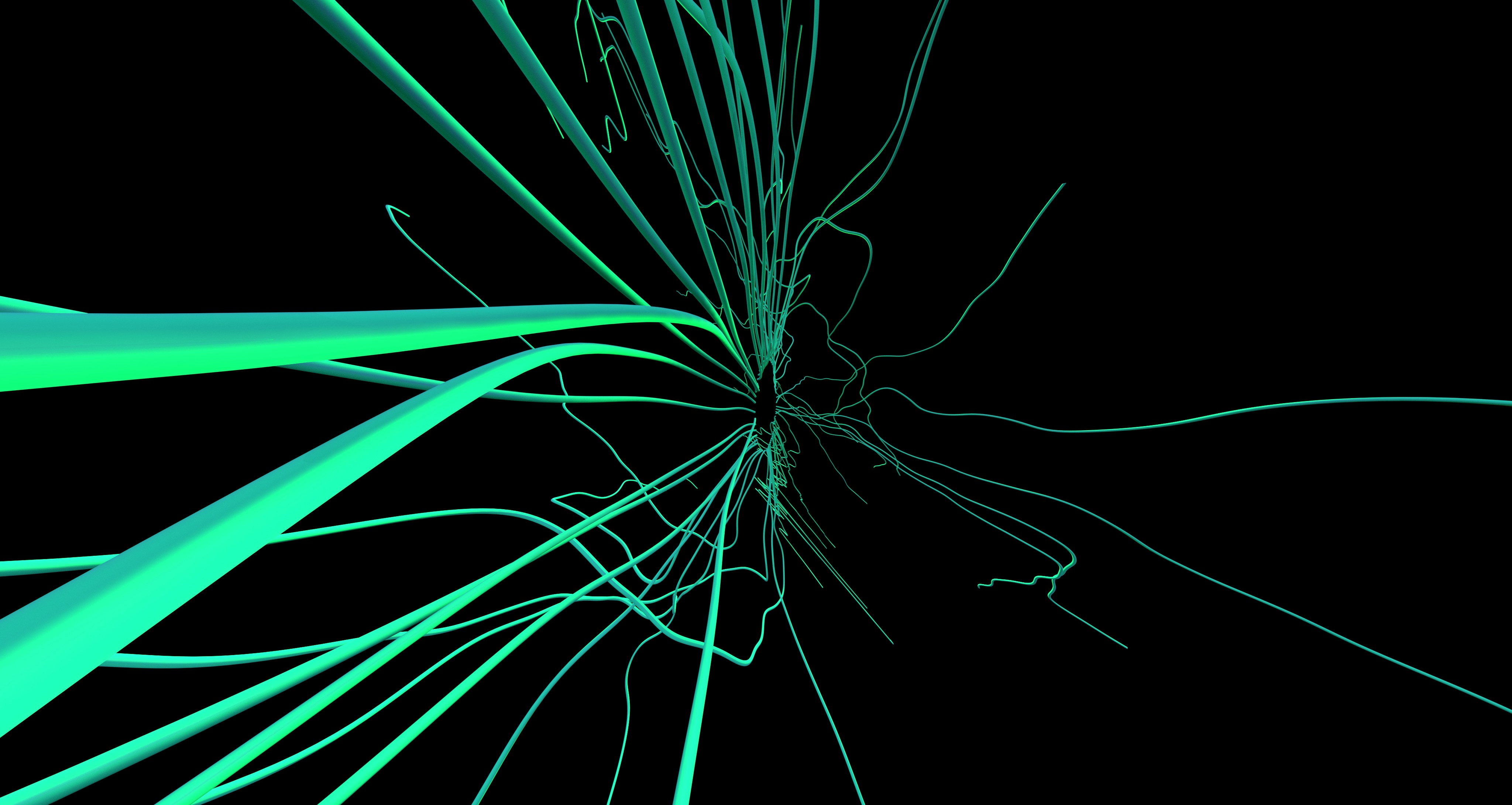 black and white bed linen