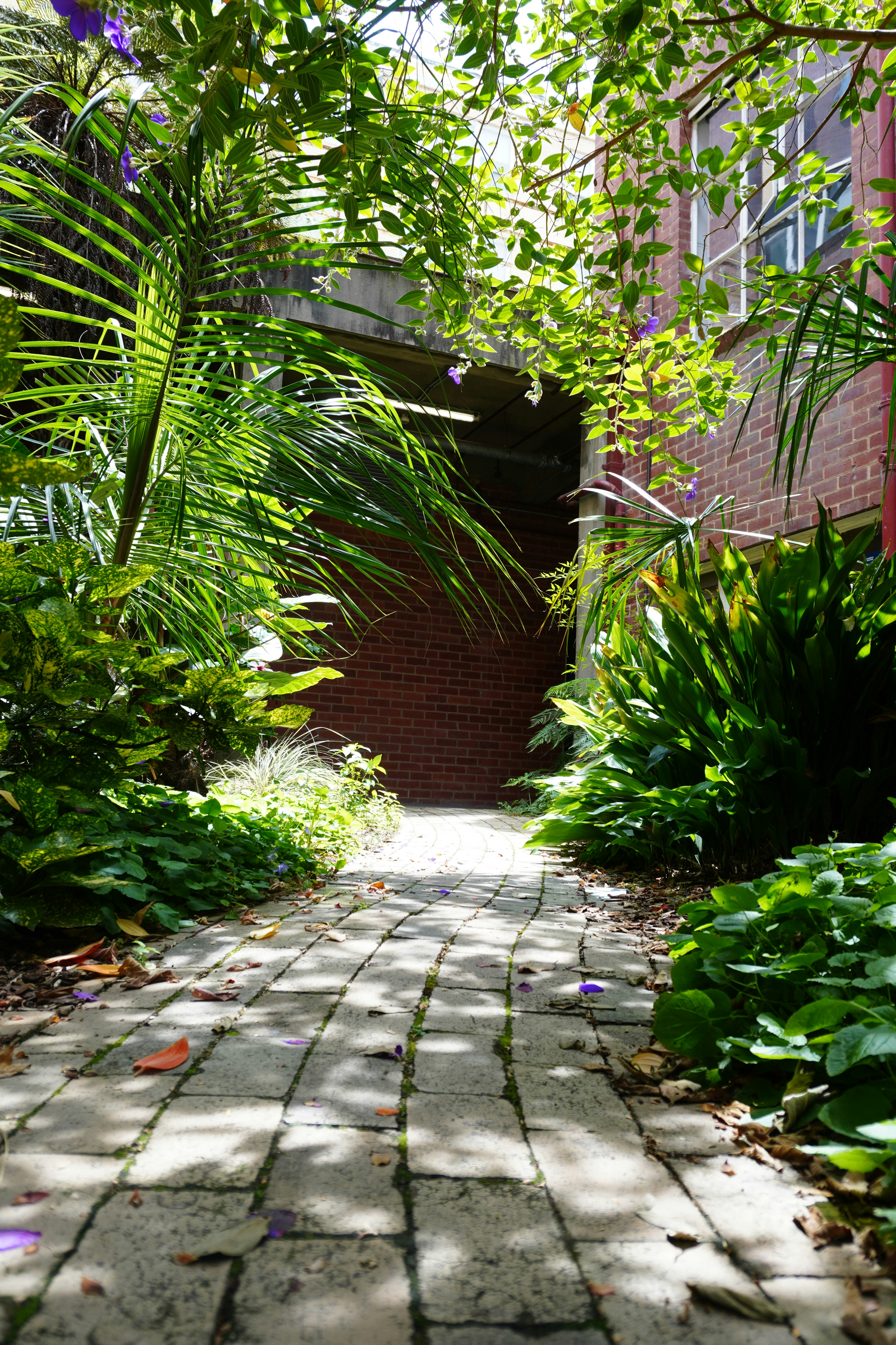 Photo by cherrymacherie