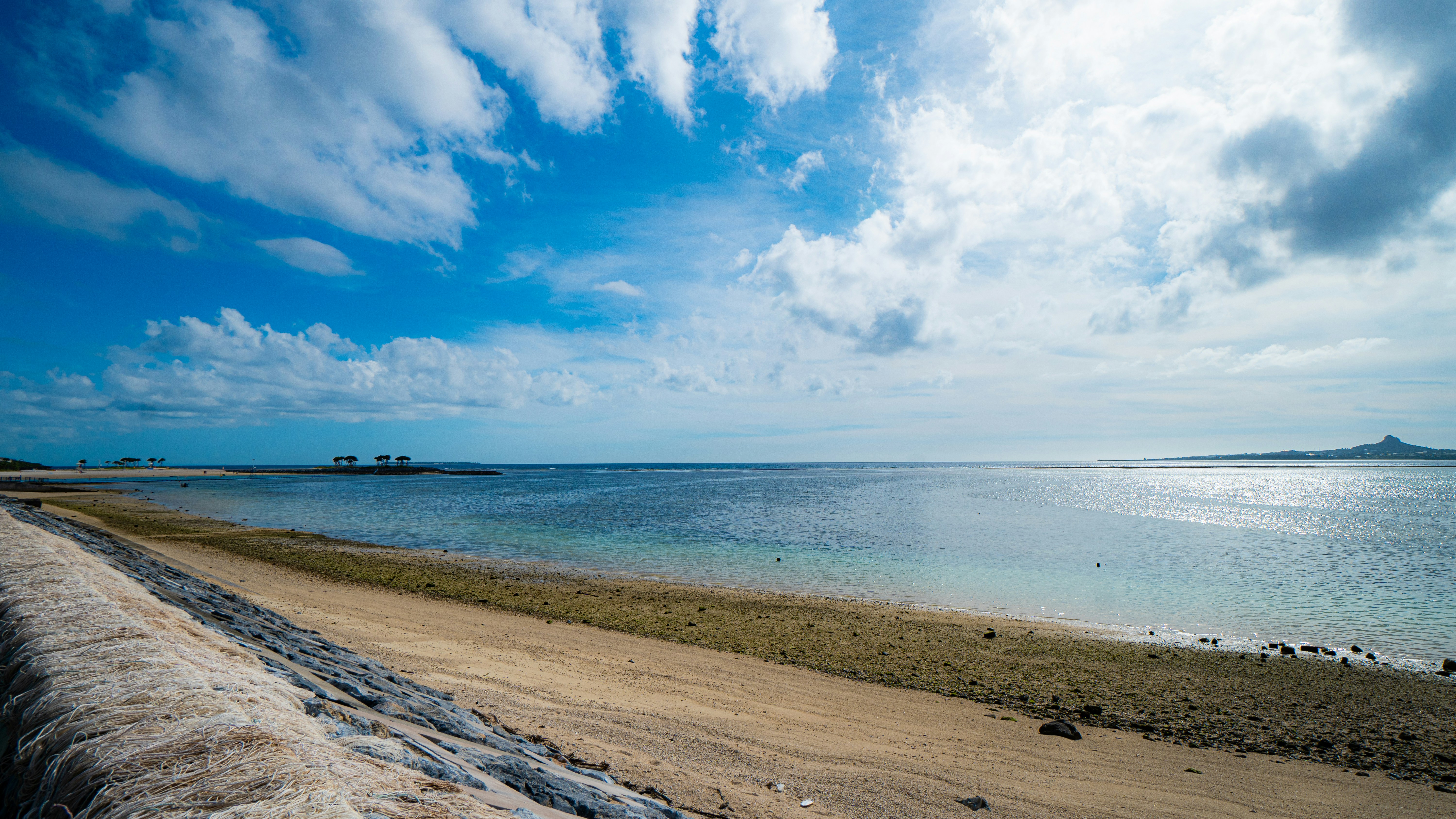 photo-1719638832313-064632784e1b?ixid=M3