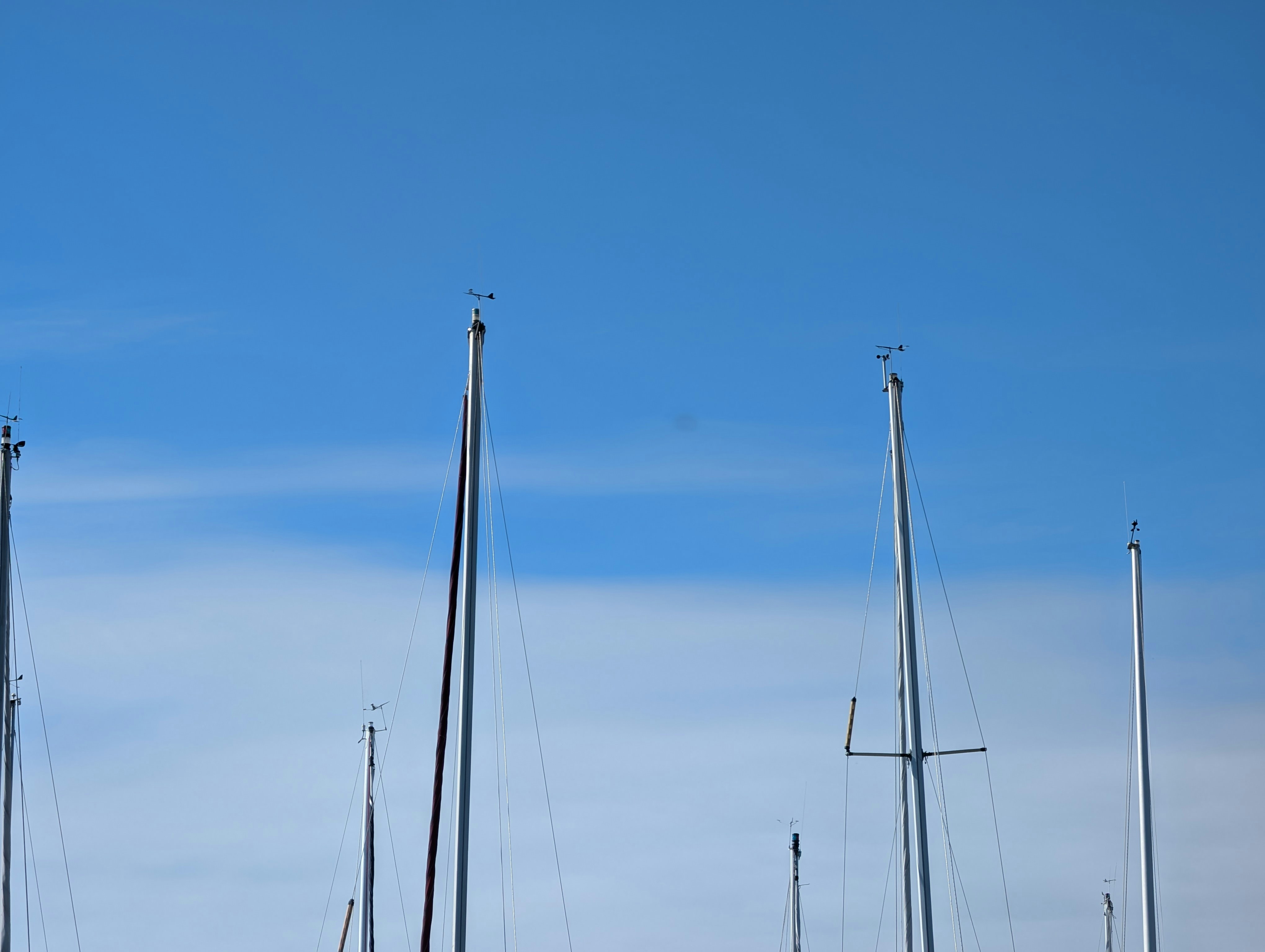 An array of windbreakers showcasing various styles and features
