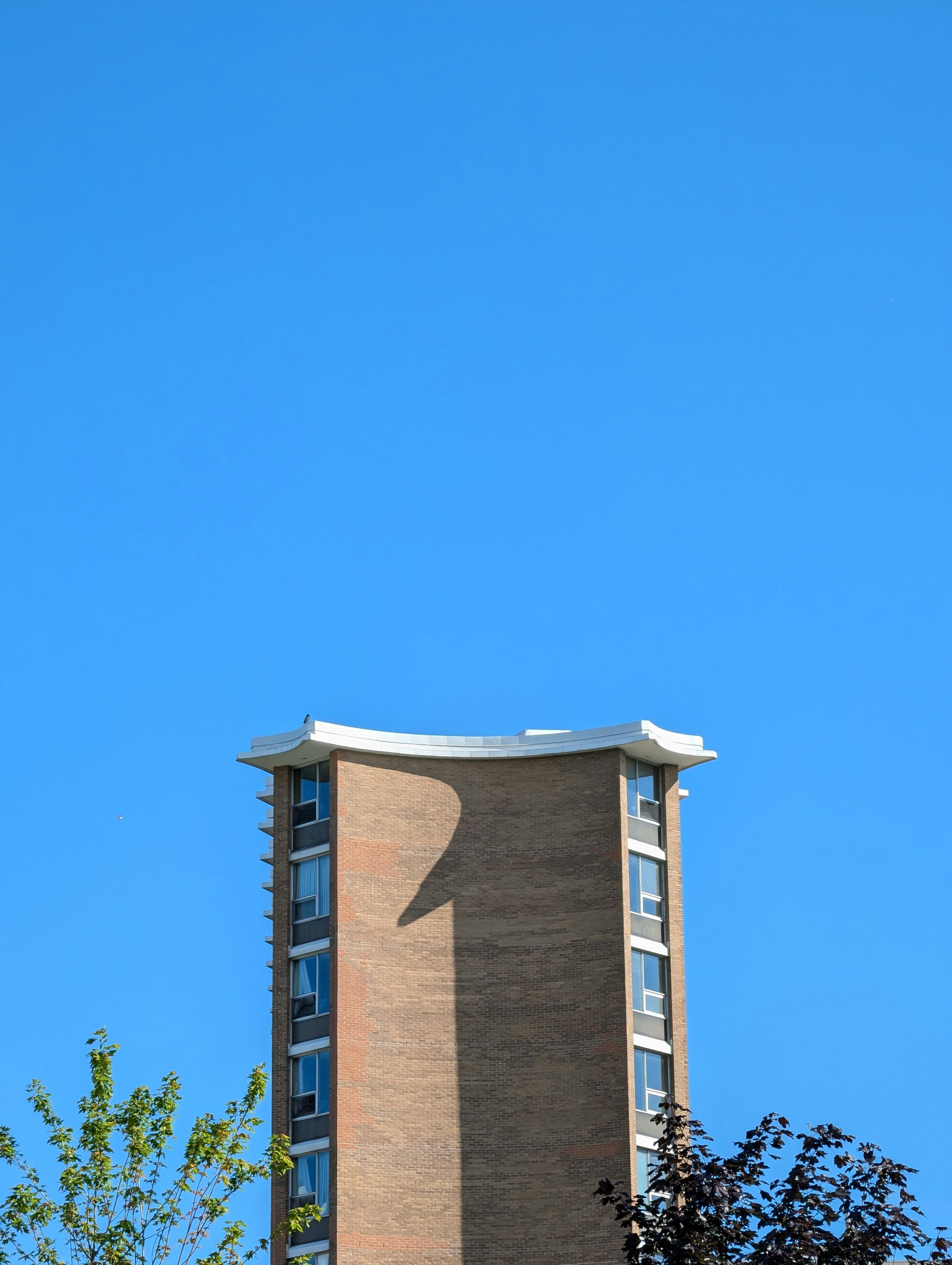 Photo by hashcode_error