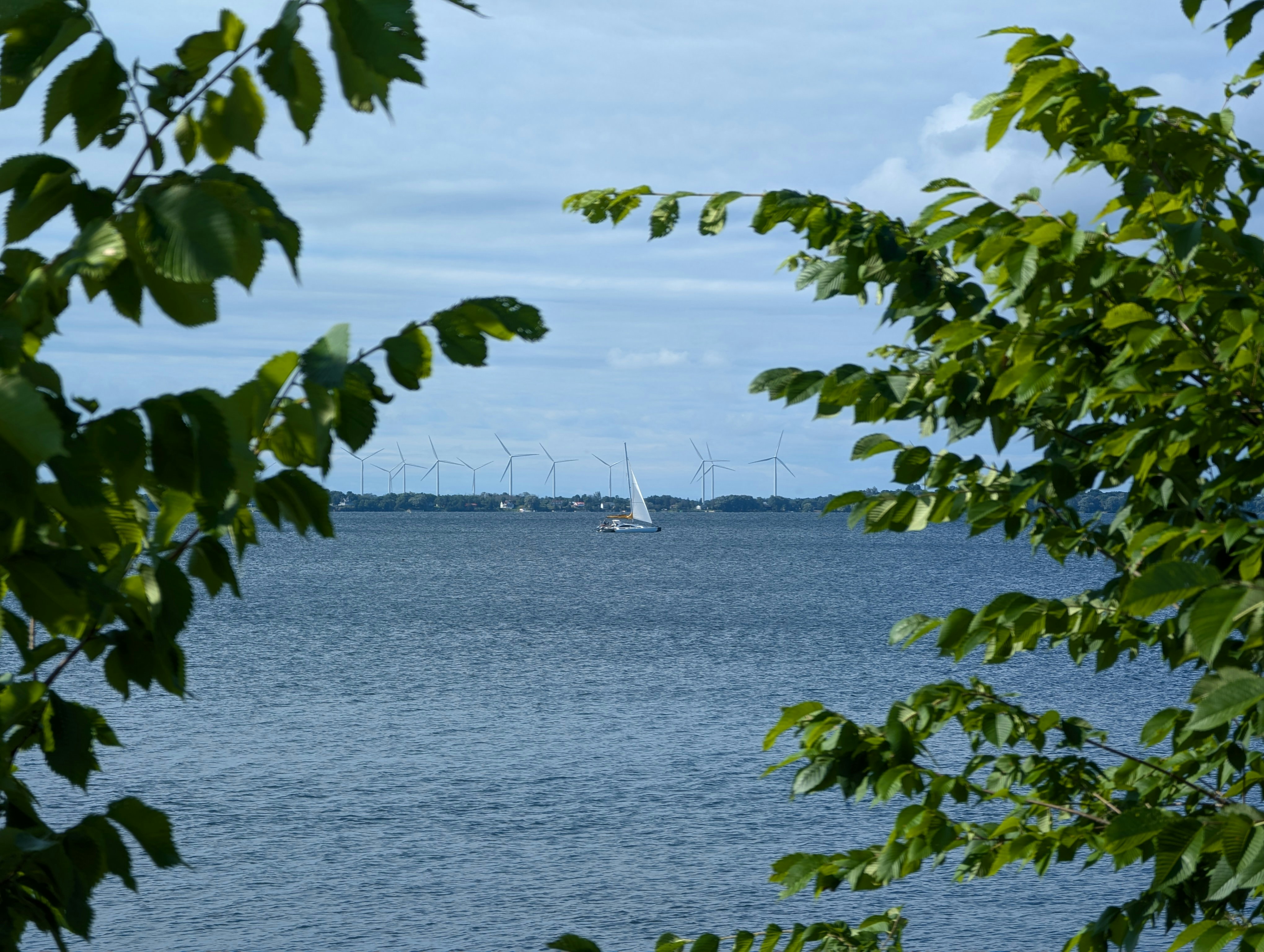 Photo by hashcode_error