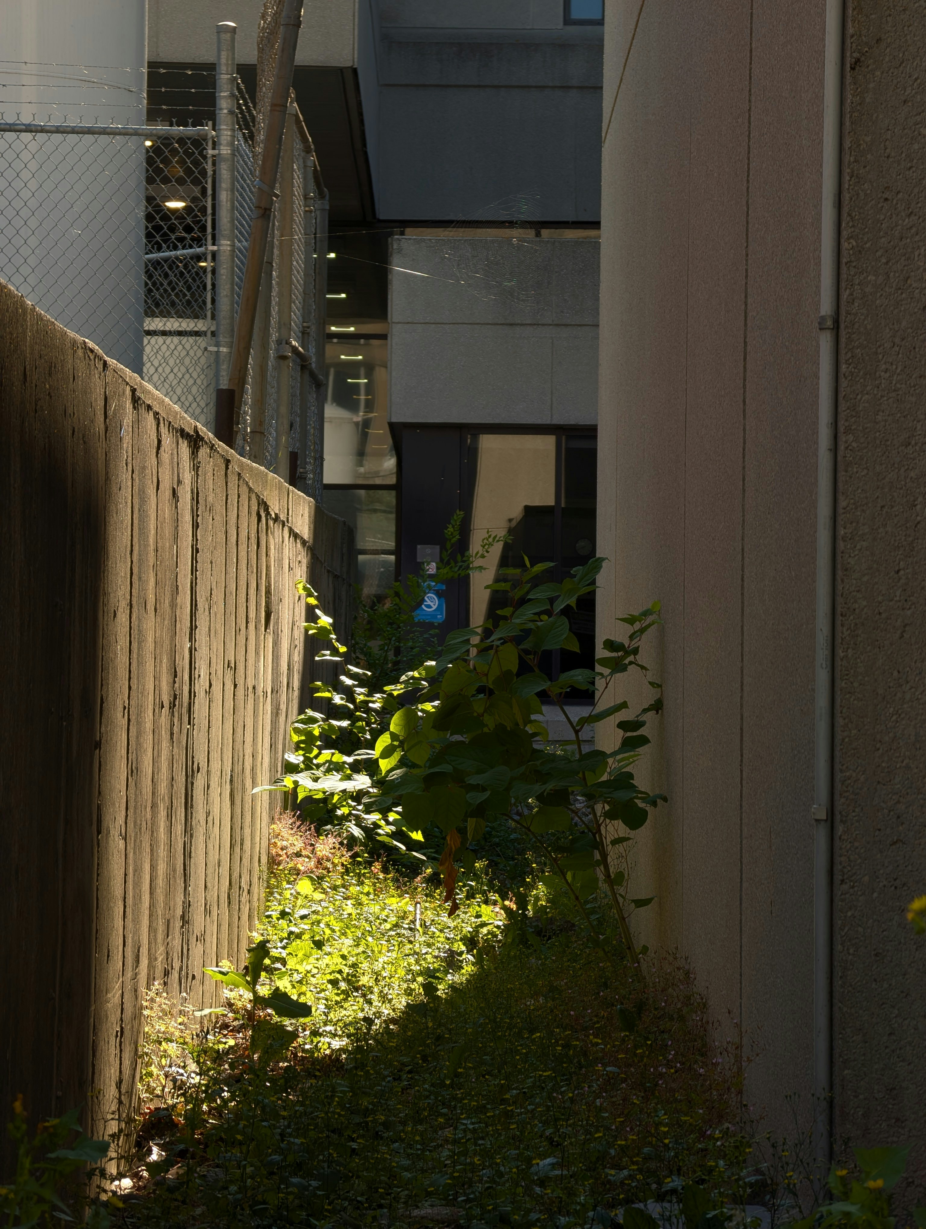 Photo by hashcode_error