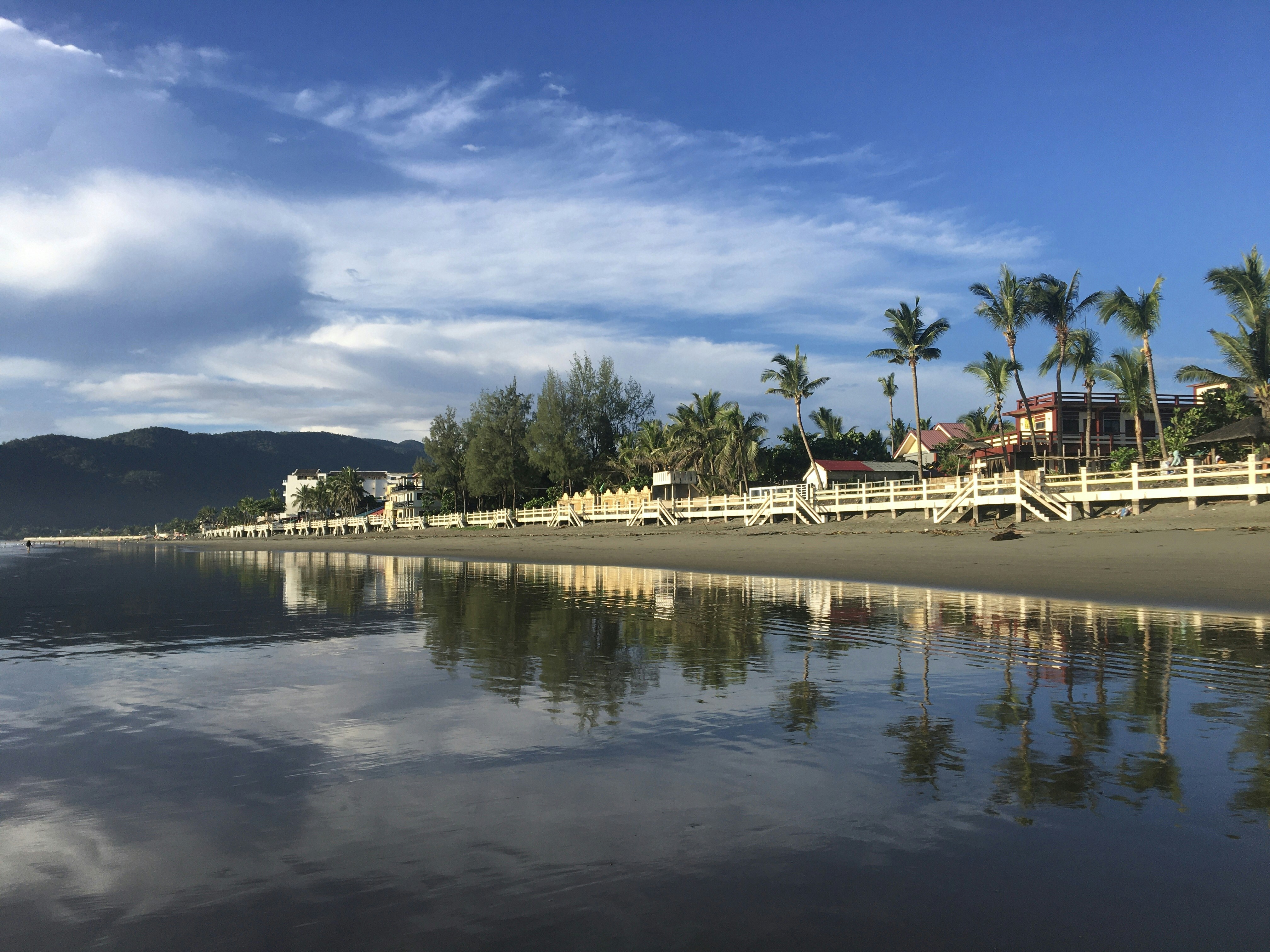 A beach with palm trees and houses on the shore
