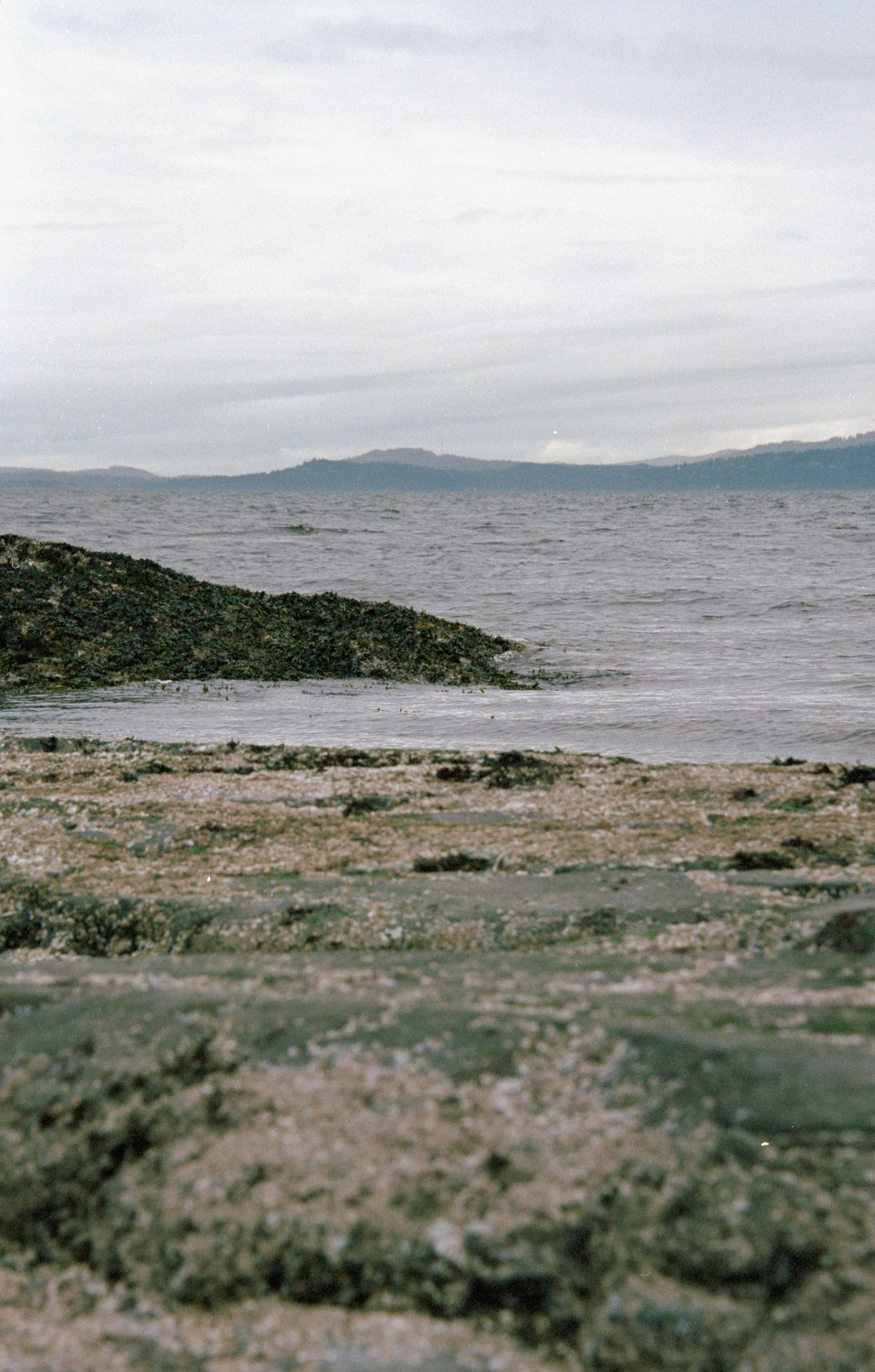 Photo by atulvi