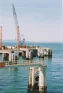 A crane is standing on a dock in the water