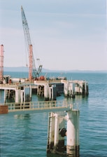 A crane is standing on a dock in the water