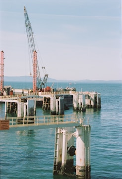 A crane is standing on a dock in the water