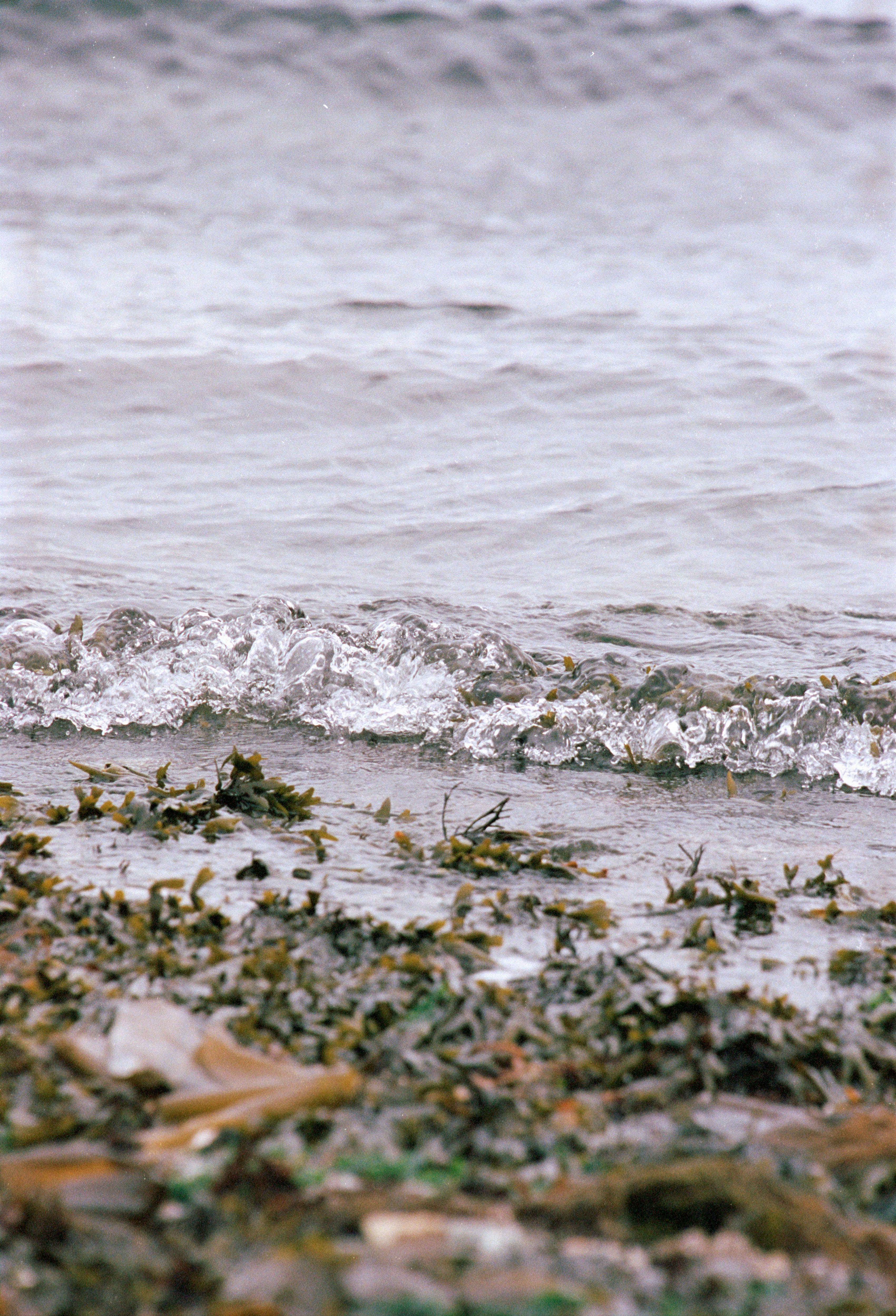 Photo by atulvi