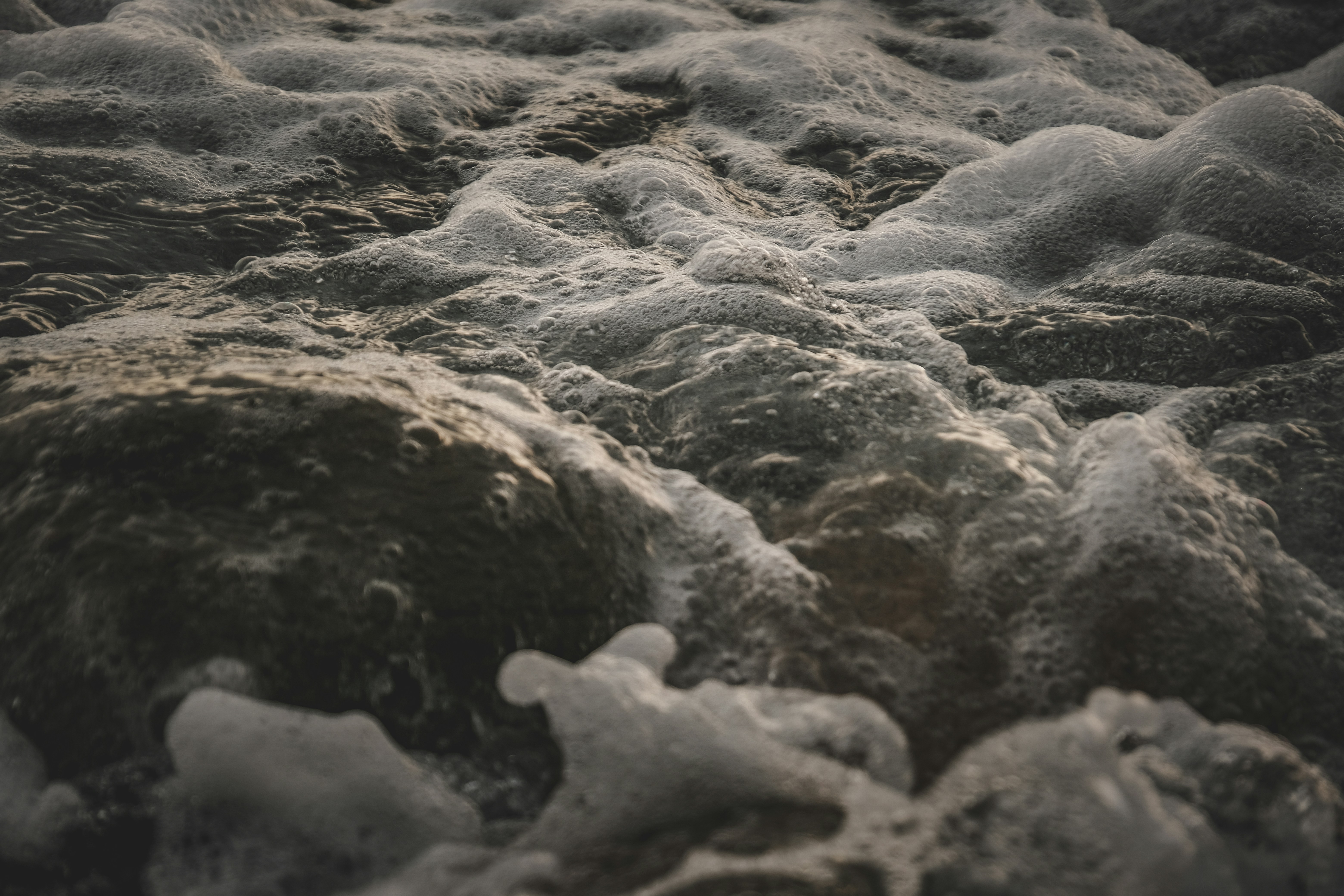 Photo by francesco_ungaro