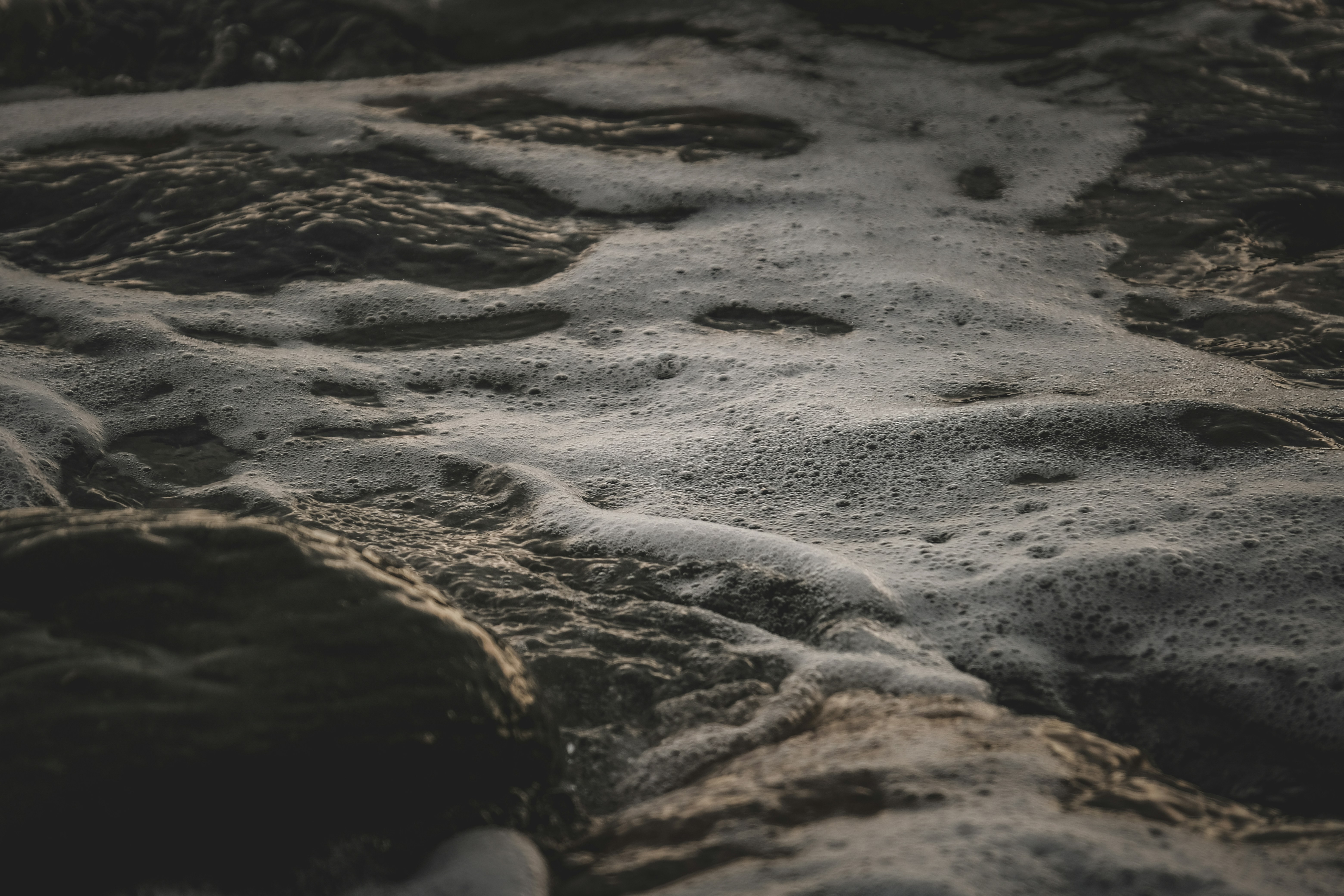 Photo by francesco_ungaro