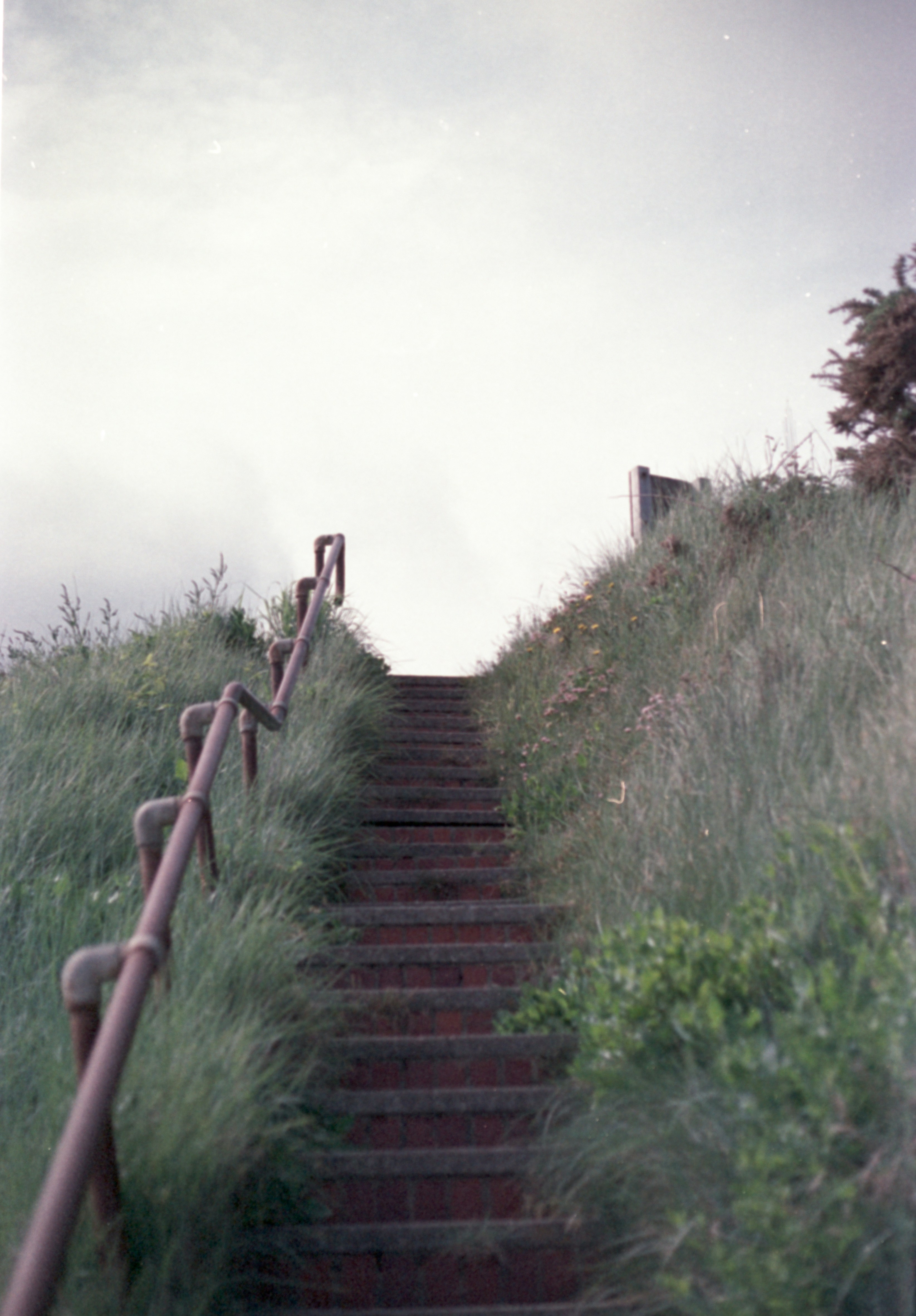 A set of stairs going up a grassy hill photo – Free Film photography ...