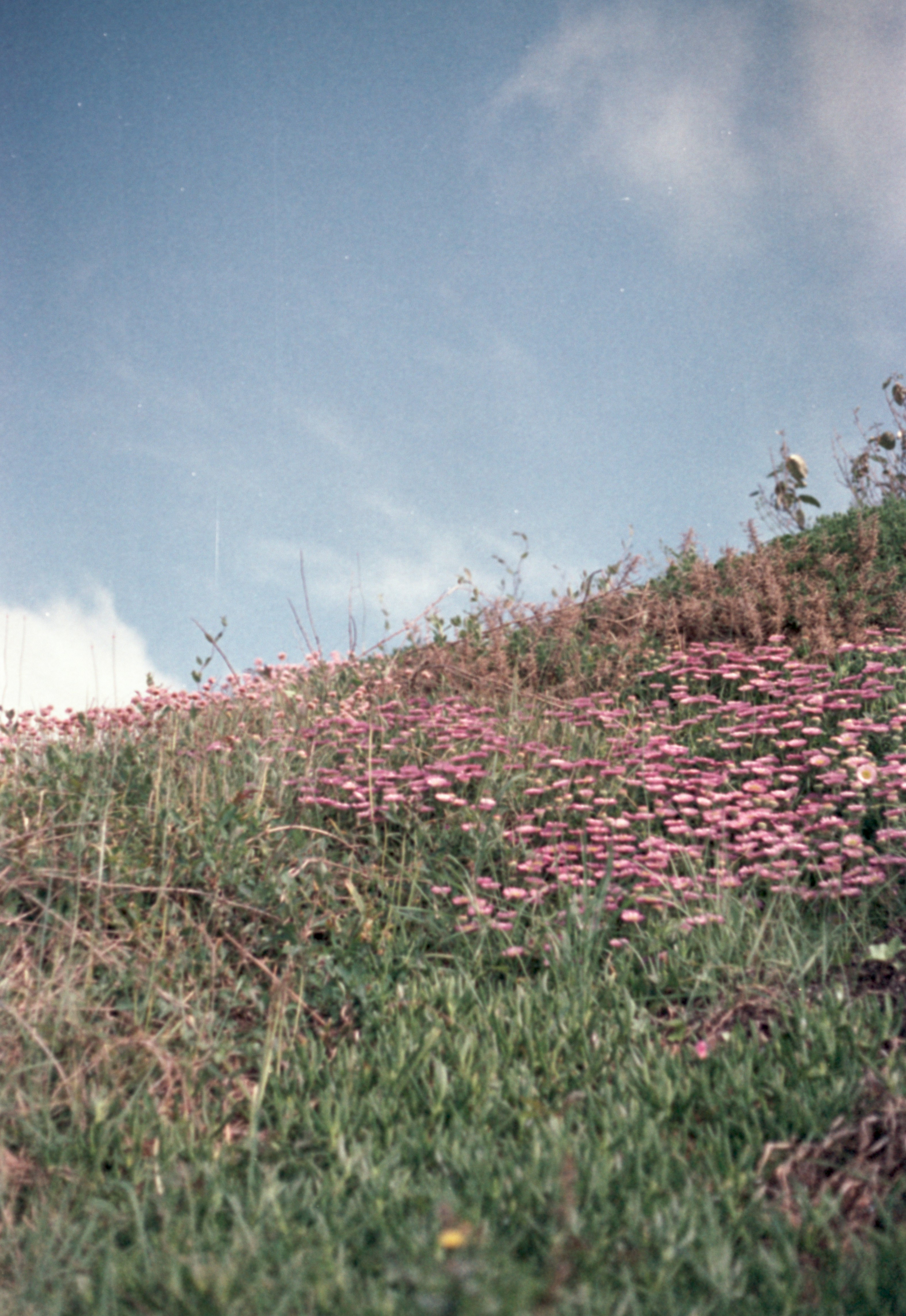 Photo by anniespratt